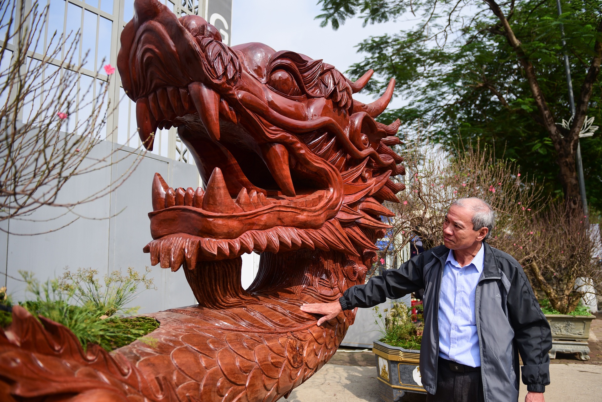 Chau hoa dao hinh rong anh 7