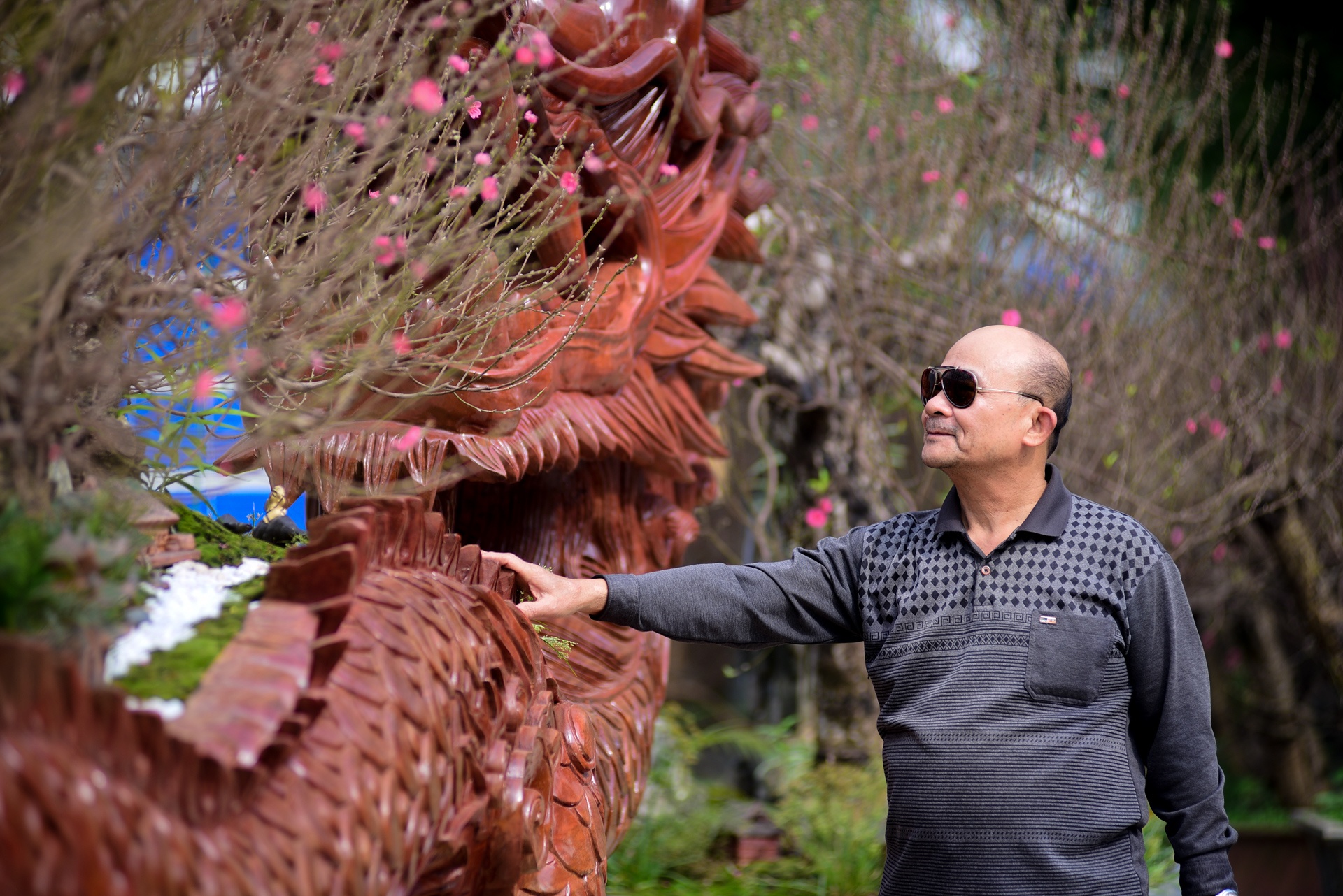 Chau hoa dao hinh rong anh 5