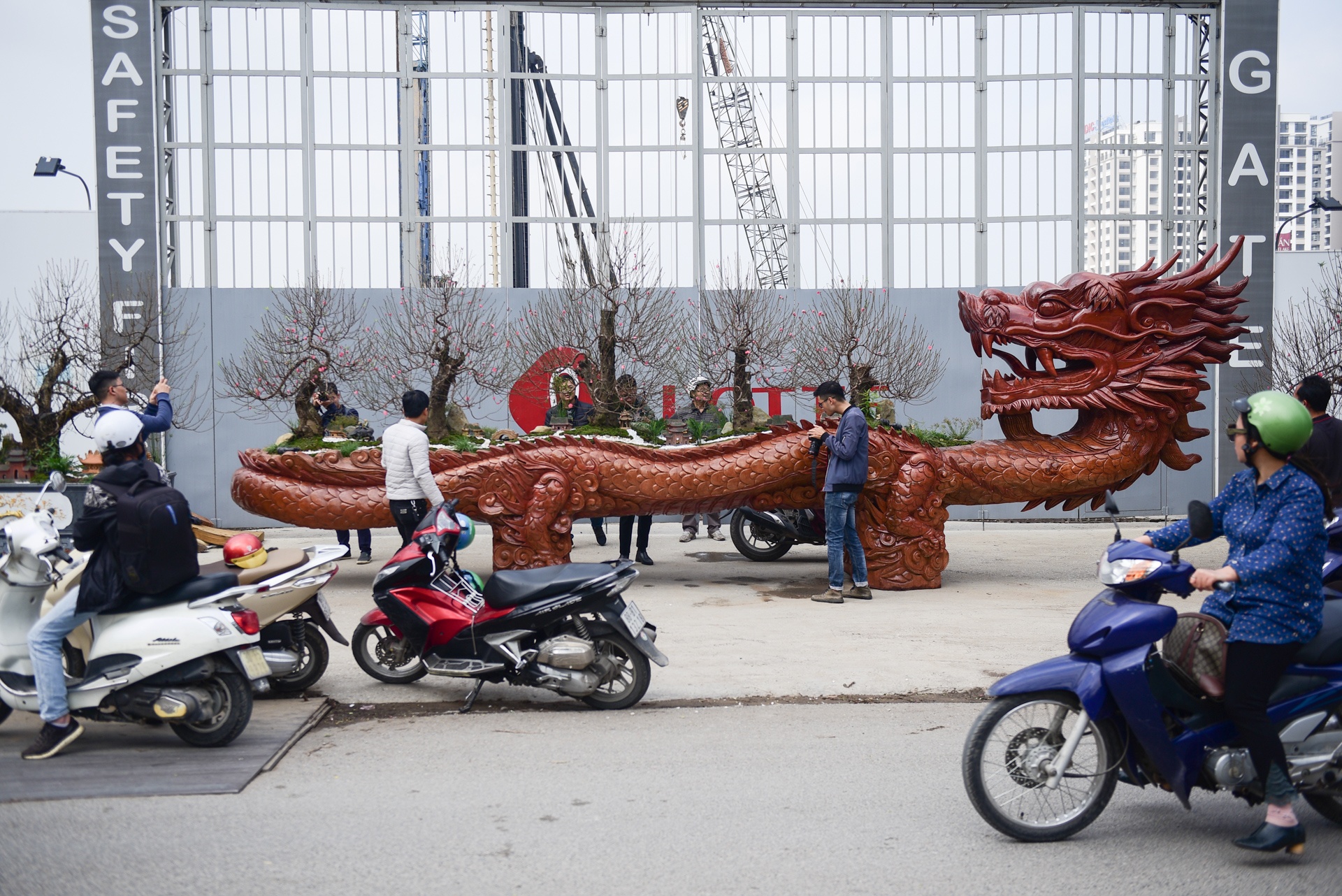 Chau hoa dao hinh rong anh 1