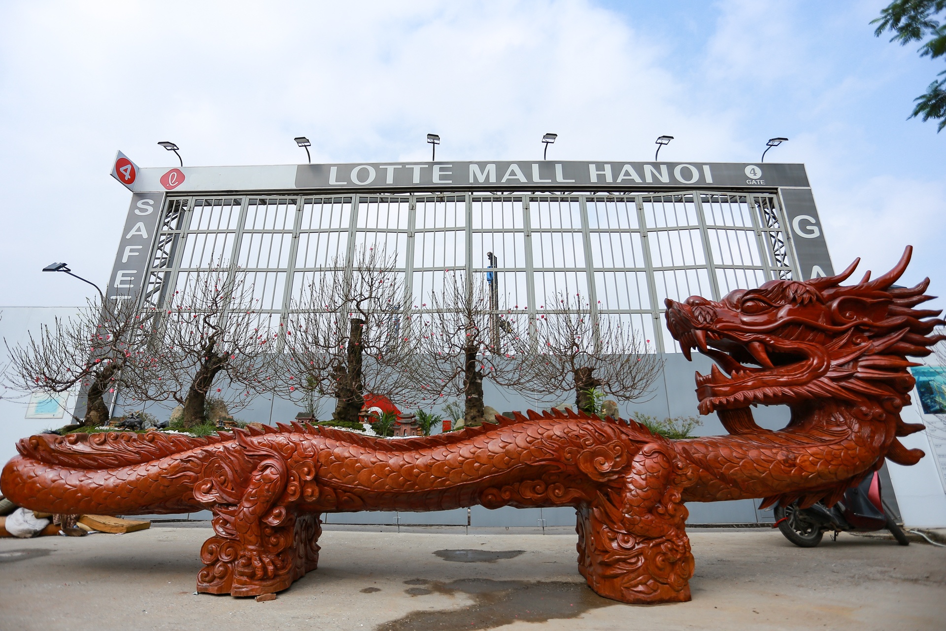 Chau hoa dao hinh rong anh 9