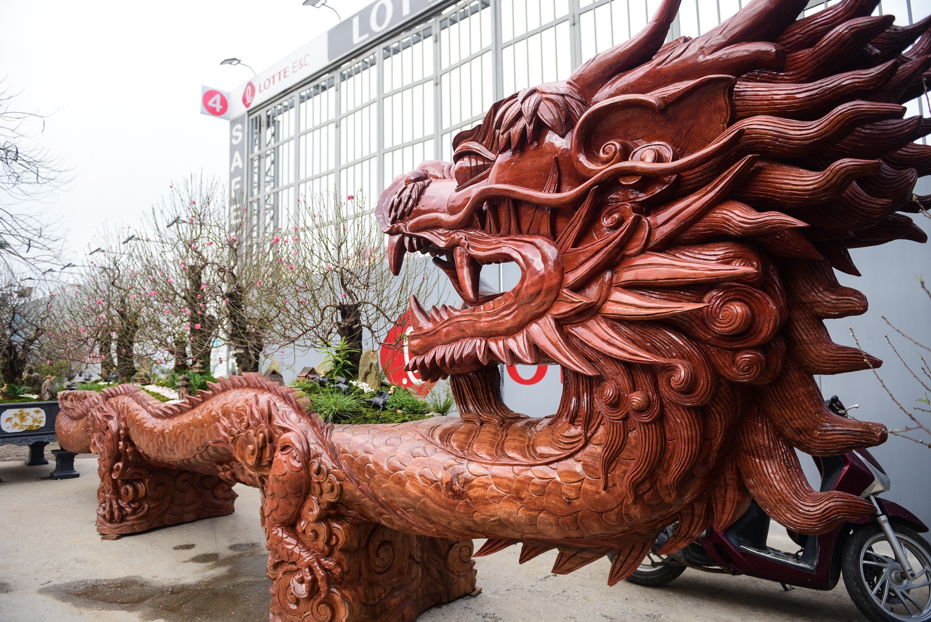 Chau hoa dao hinh rong bi 'thet gia' hon 1 ty tai Ha Noi hinh anh