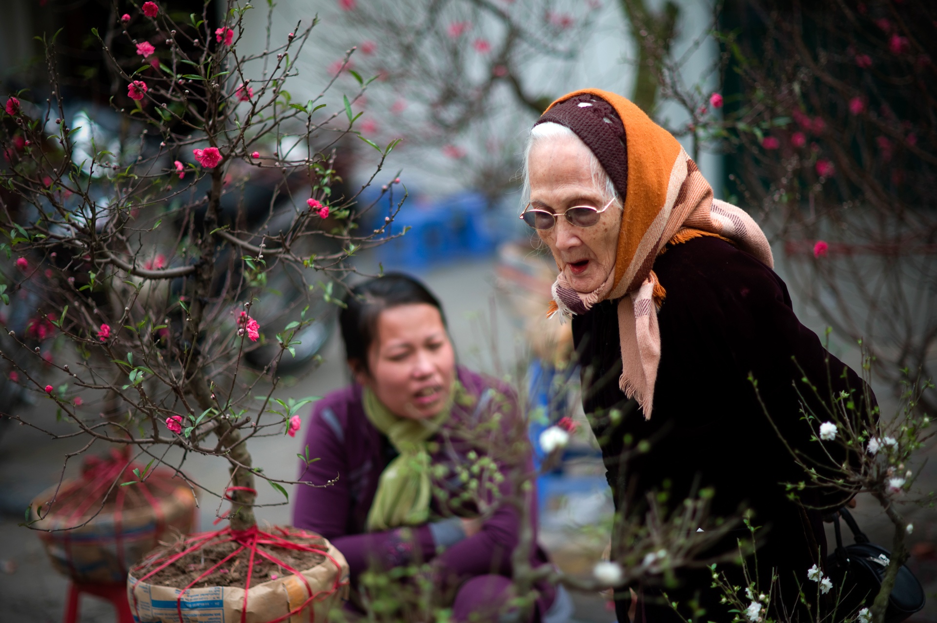 Ha Noi trong mat ai anh 6