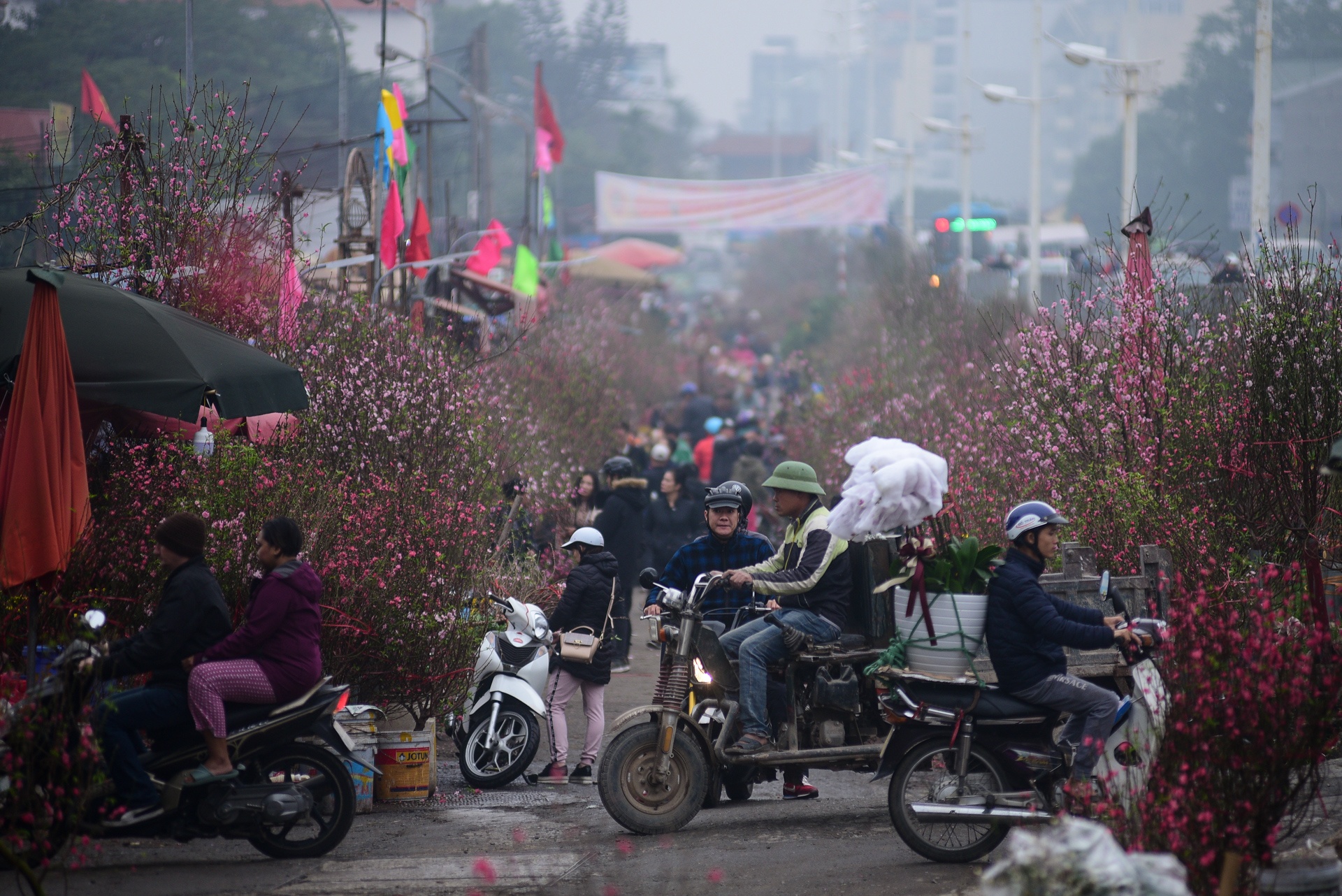 Cho hoa Quang An do ruc dao Tet anh 10