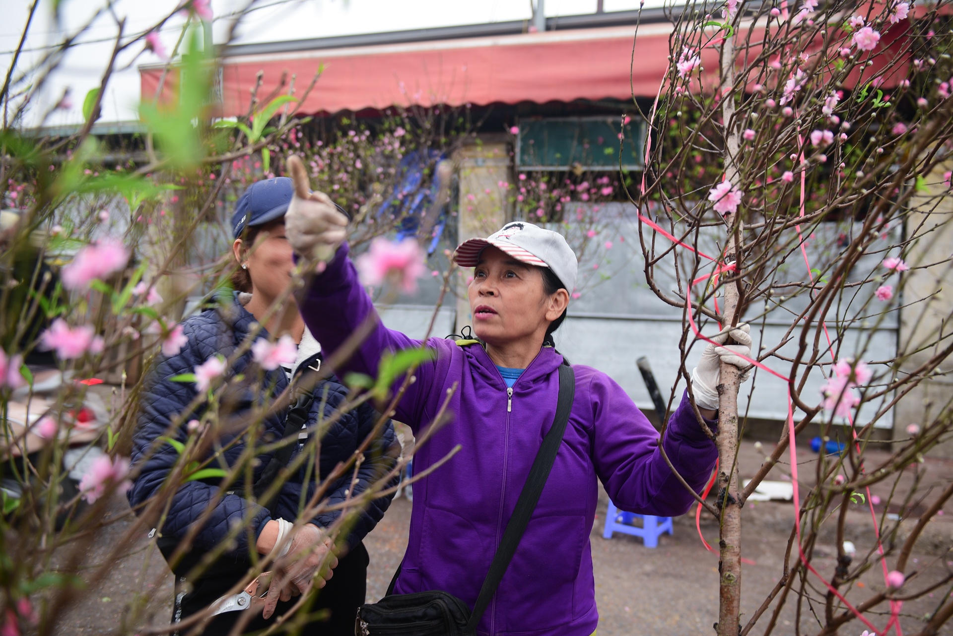 Cho hoa Quang An do ruc dao Tet anh 4
