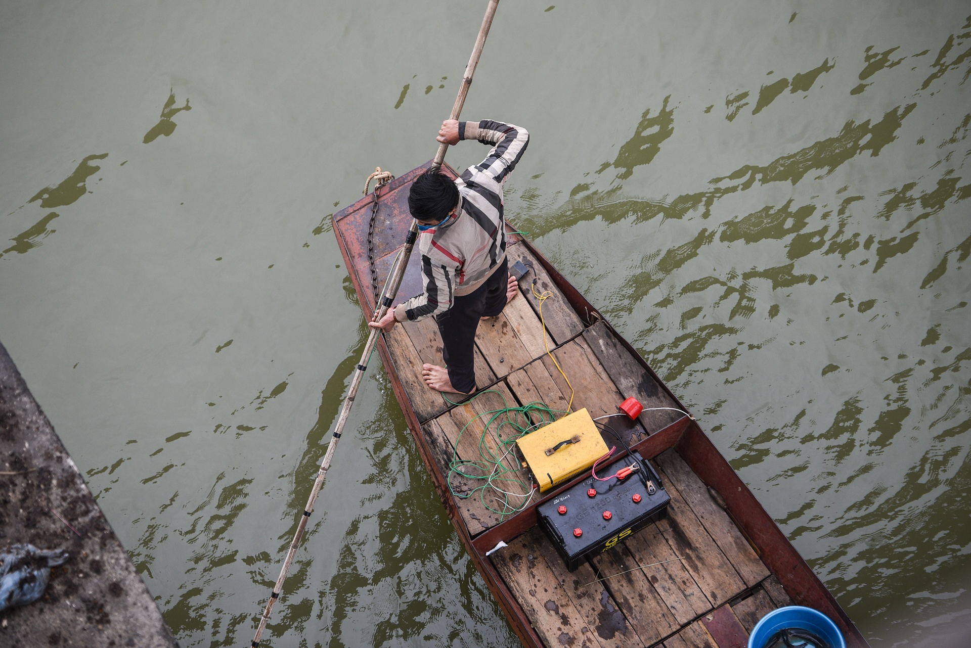 chich dien ca chep ong Tao anh 2