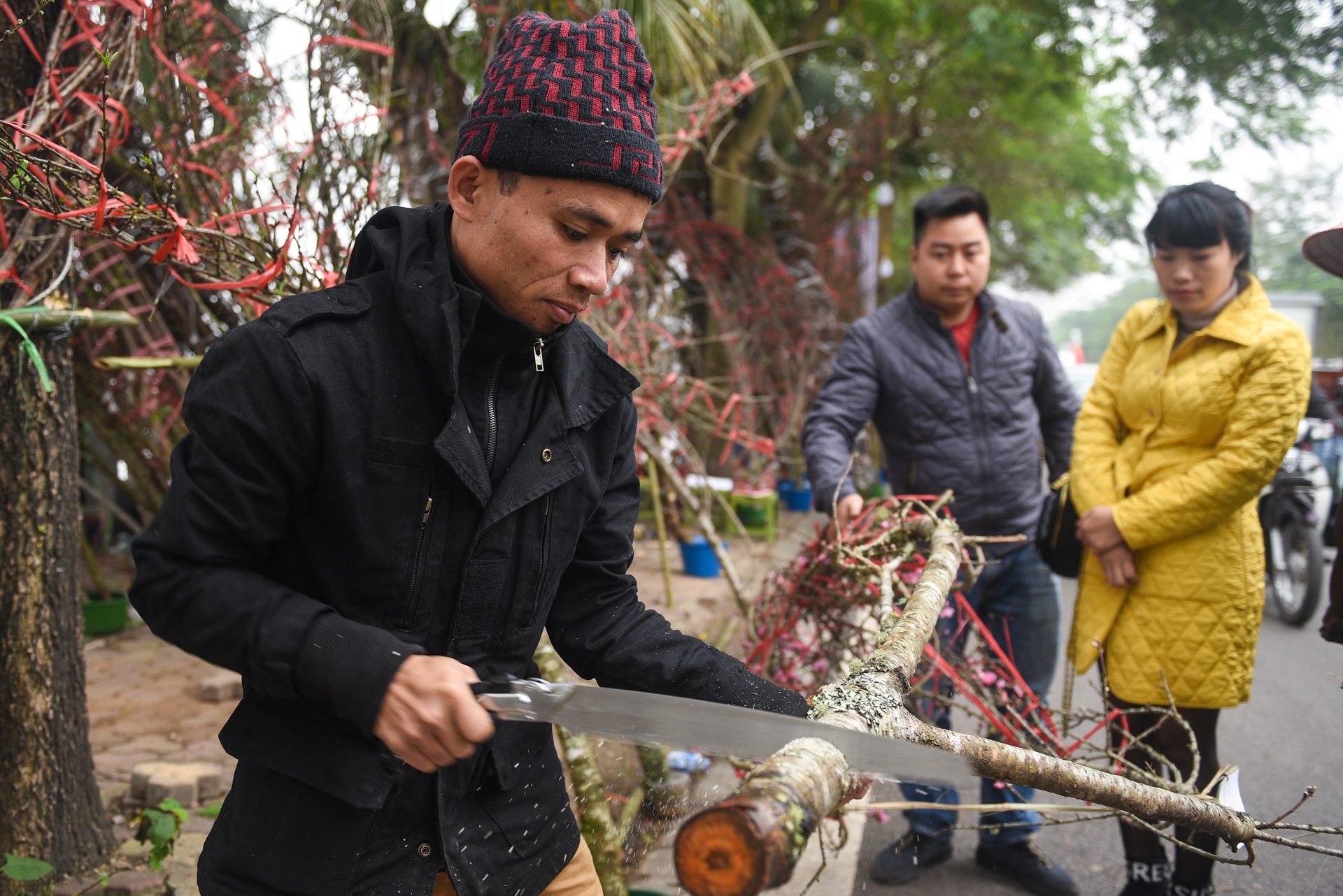 Gia ca hoa Tet 2020 anh 4