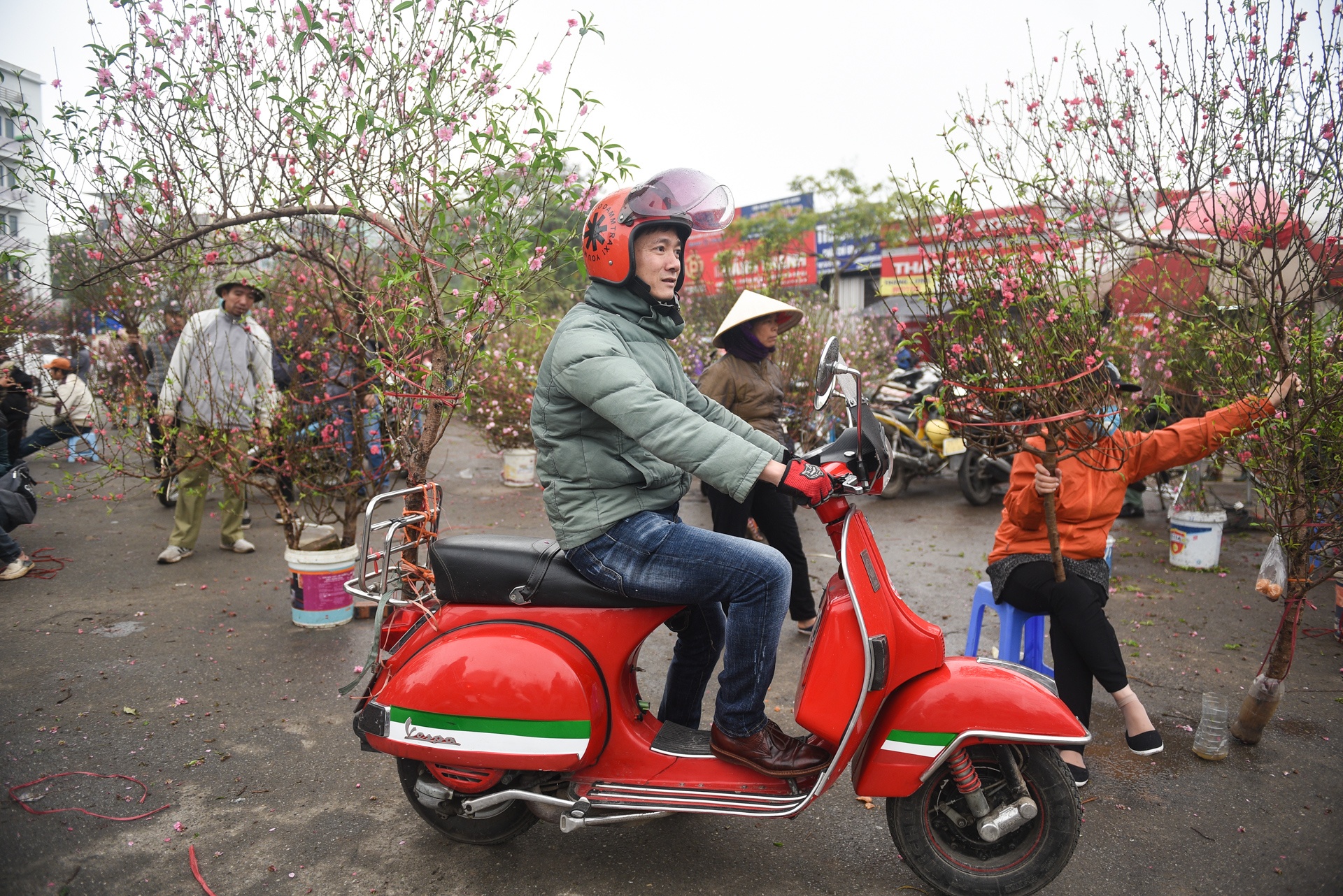 Gia ca hoa Tet 2020 anh 2