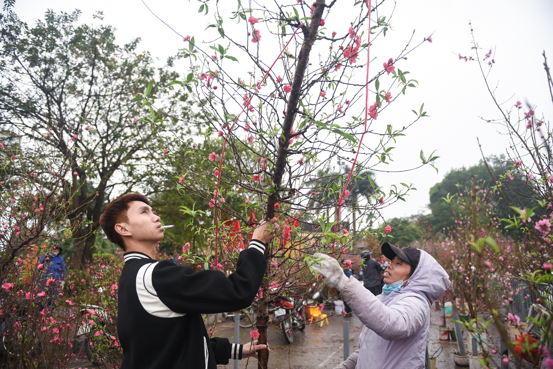 Gia ca hoa Tet 2020 anh 1