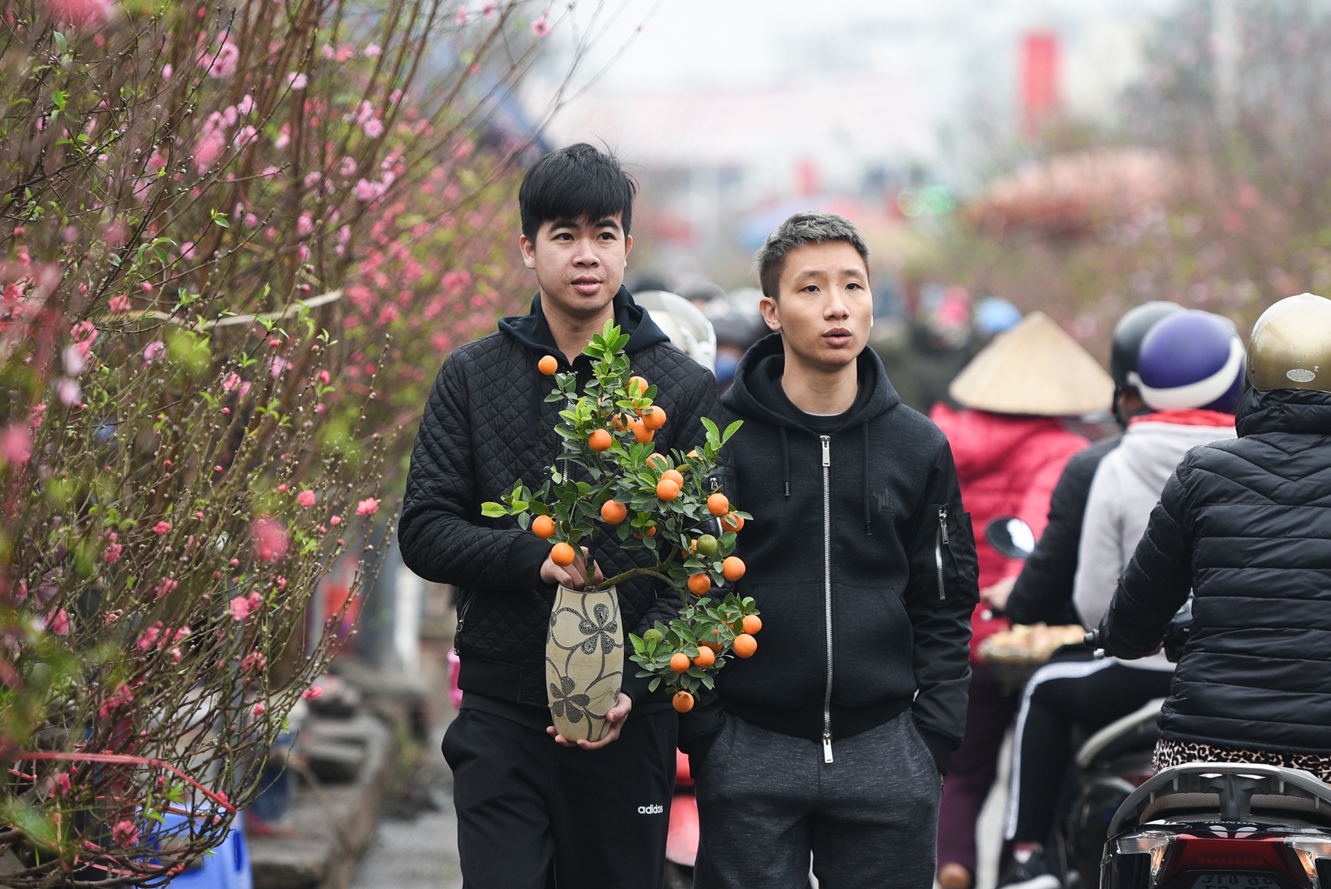 Gia ca hoa Tet 2020 anh 12