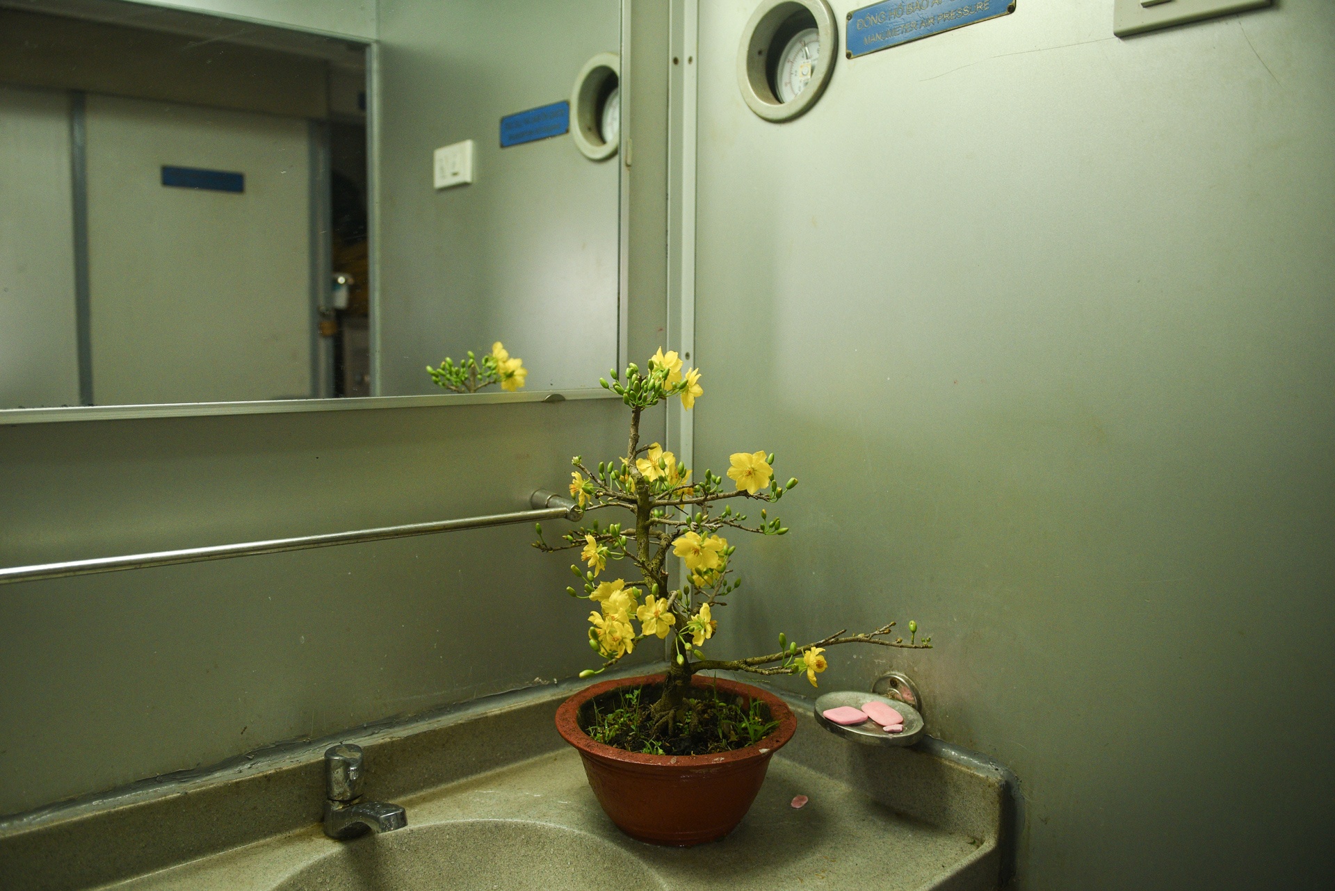 chuyen tau cuoi nam Ky Hoi anh 27