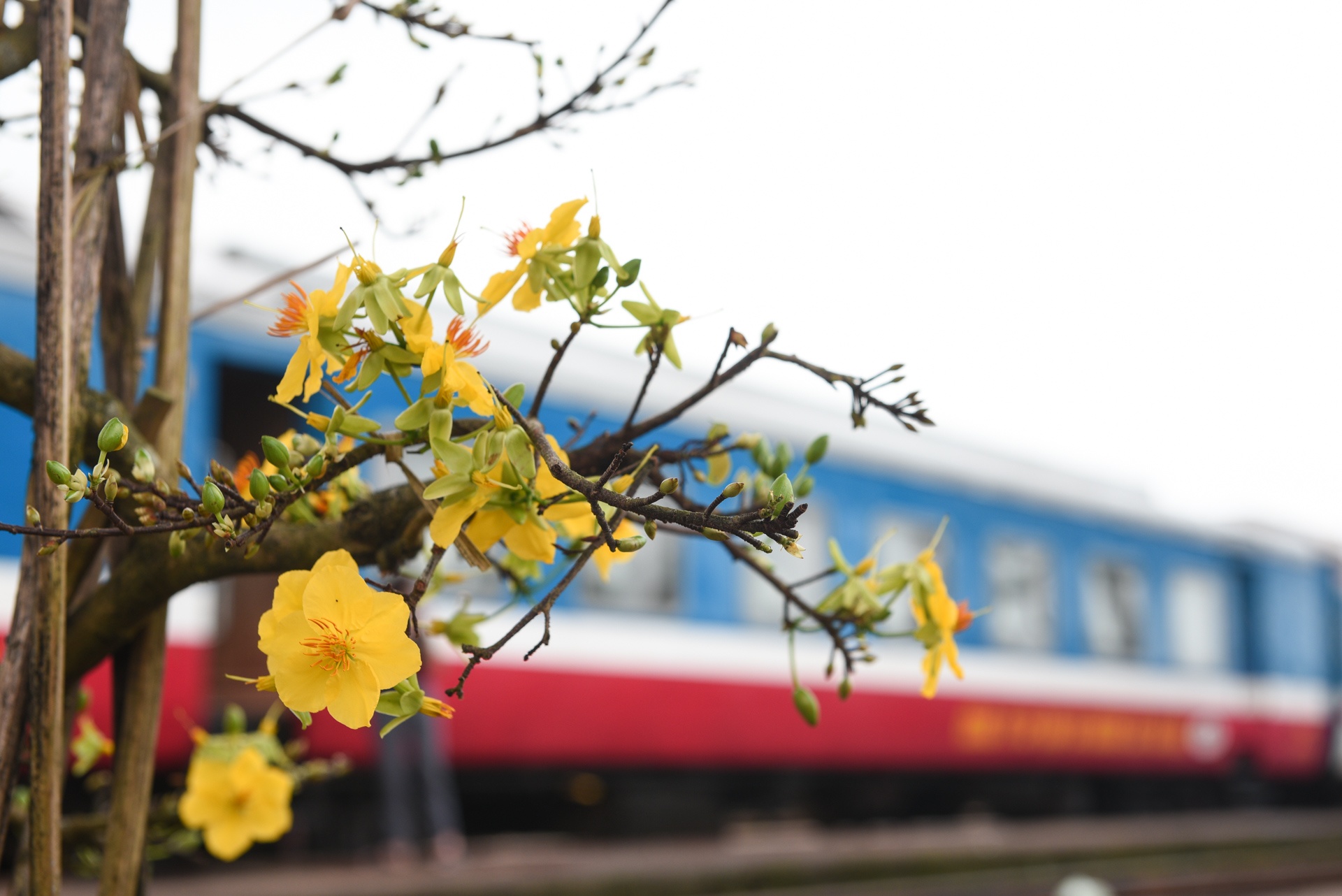 chuyen tau cuoi nam Ky Hoi anh 14