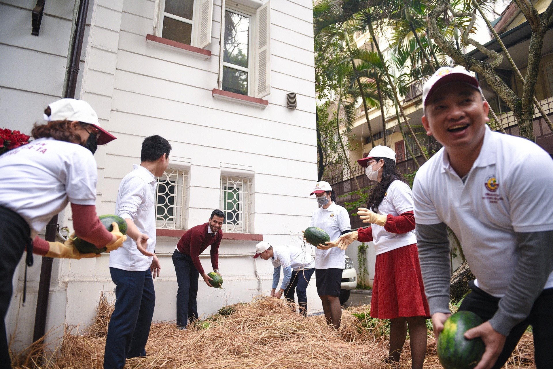 Phat mien phi 4 tan dua hau anh 7