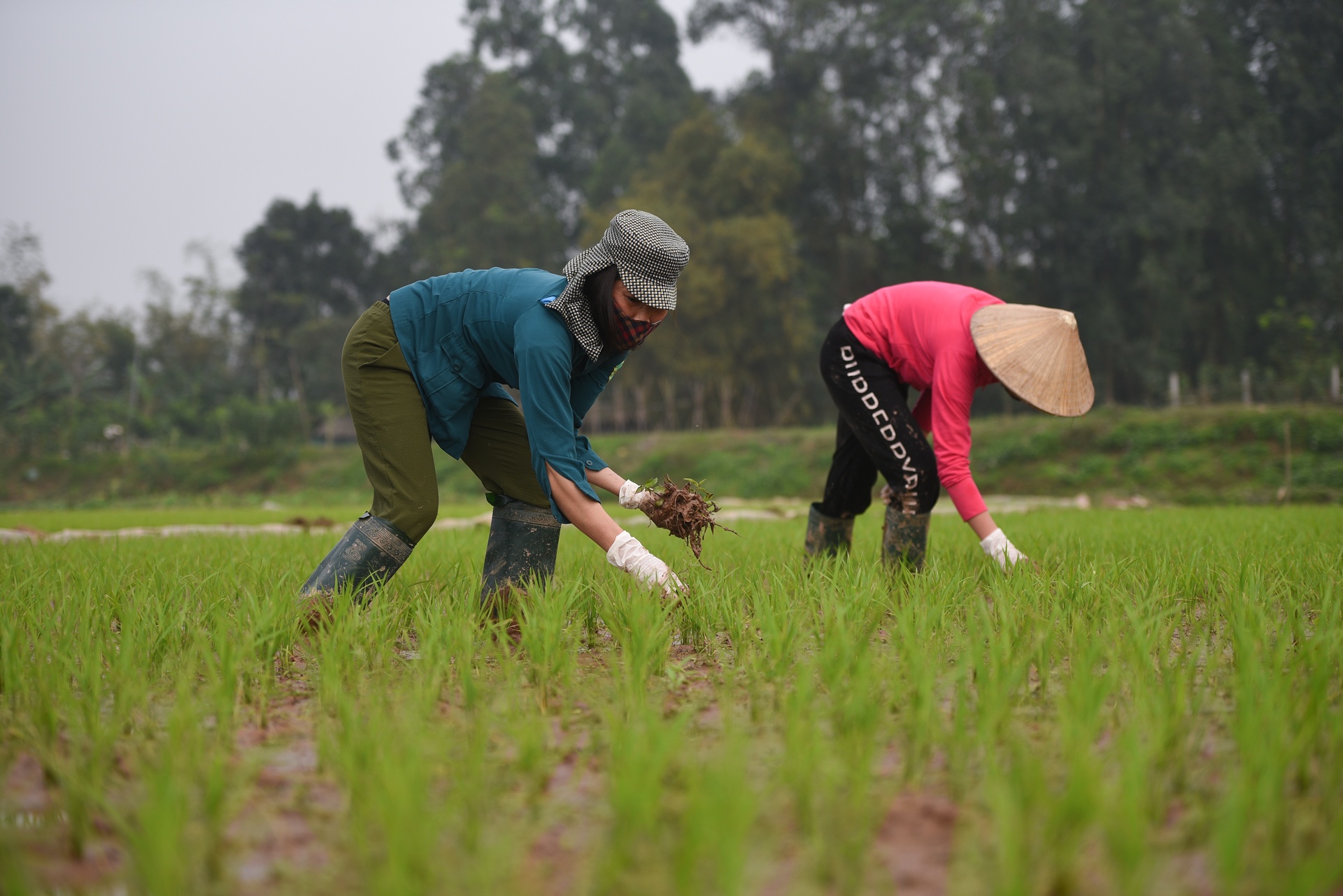 Tâm dịch virus corona Sơn Lôi ảnh 26 Tam dich virus corona Son Loi anh 26