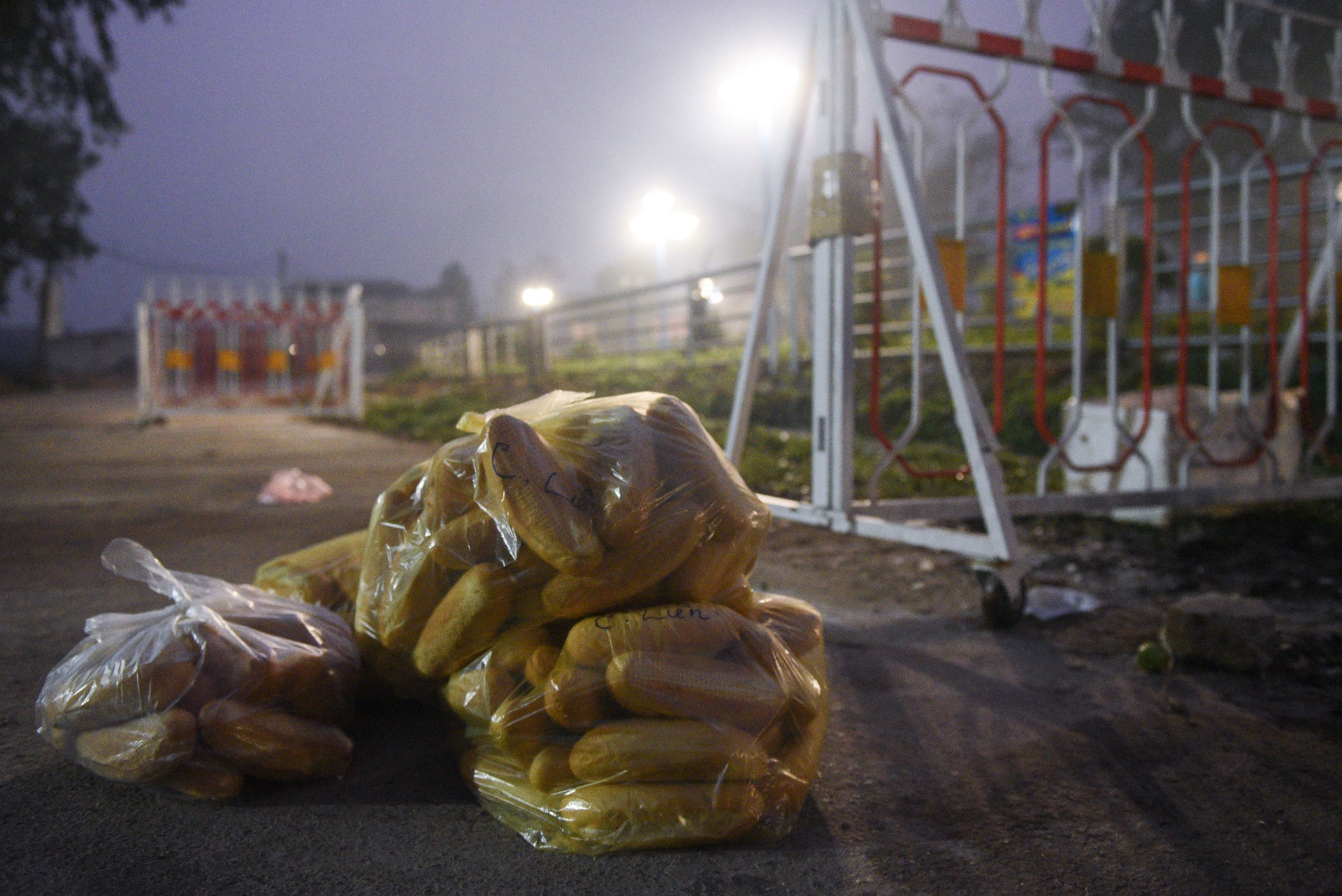 Tâm dịch virus corona Sơn Lôi ảnh 12 Tam dich virus corona Son Loi anh 12