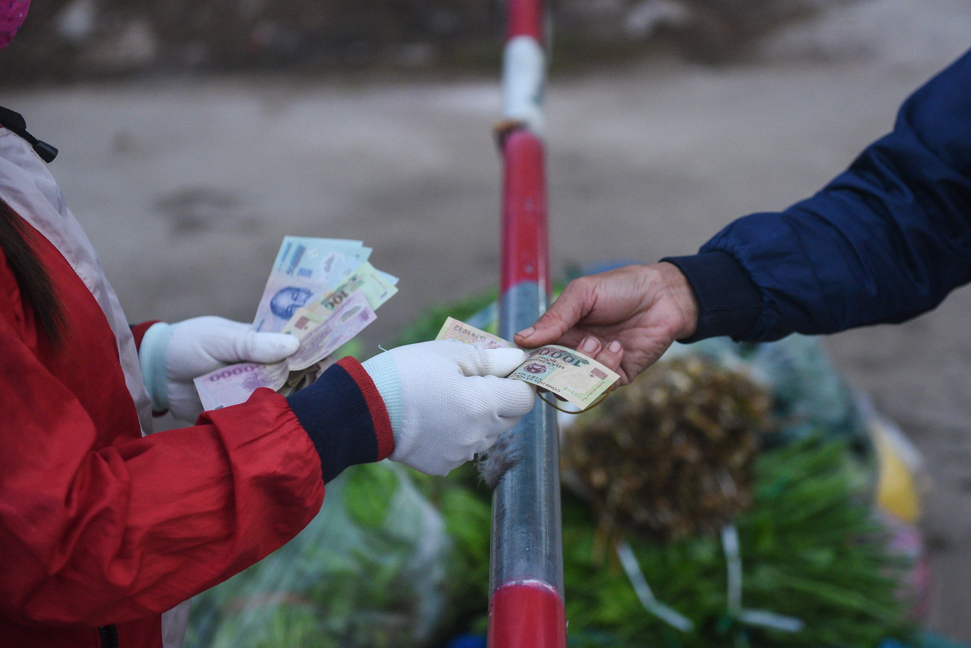 Tâm dịch virus corona Sơn Lôi ảnh 16 Tam dich virus corona Son Loi anh 16