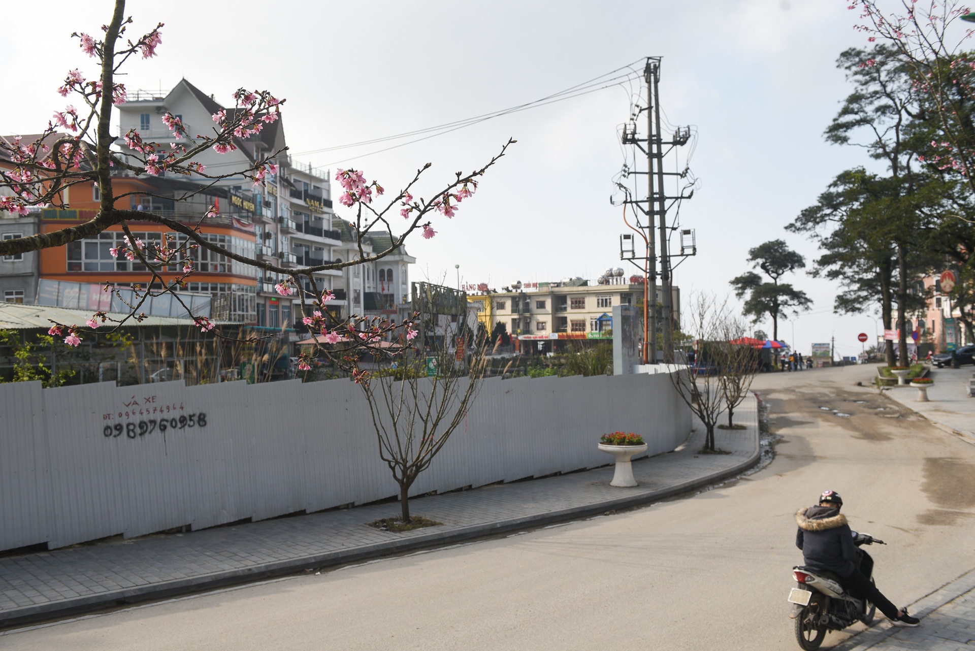 Tam Dao vang ve vi Covid-19 anh 10