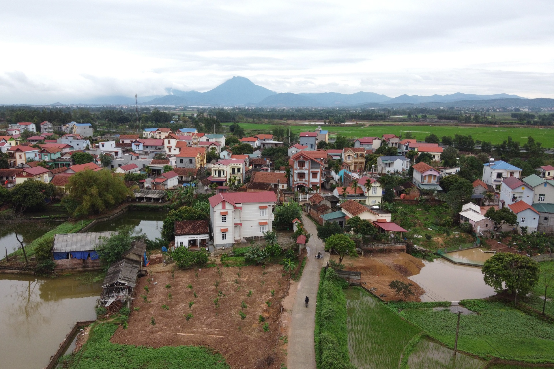 nguoi dan Son Loi vui mung sau ket thuc cach ly anh 1