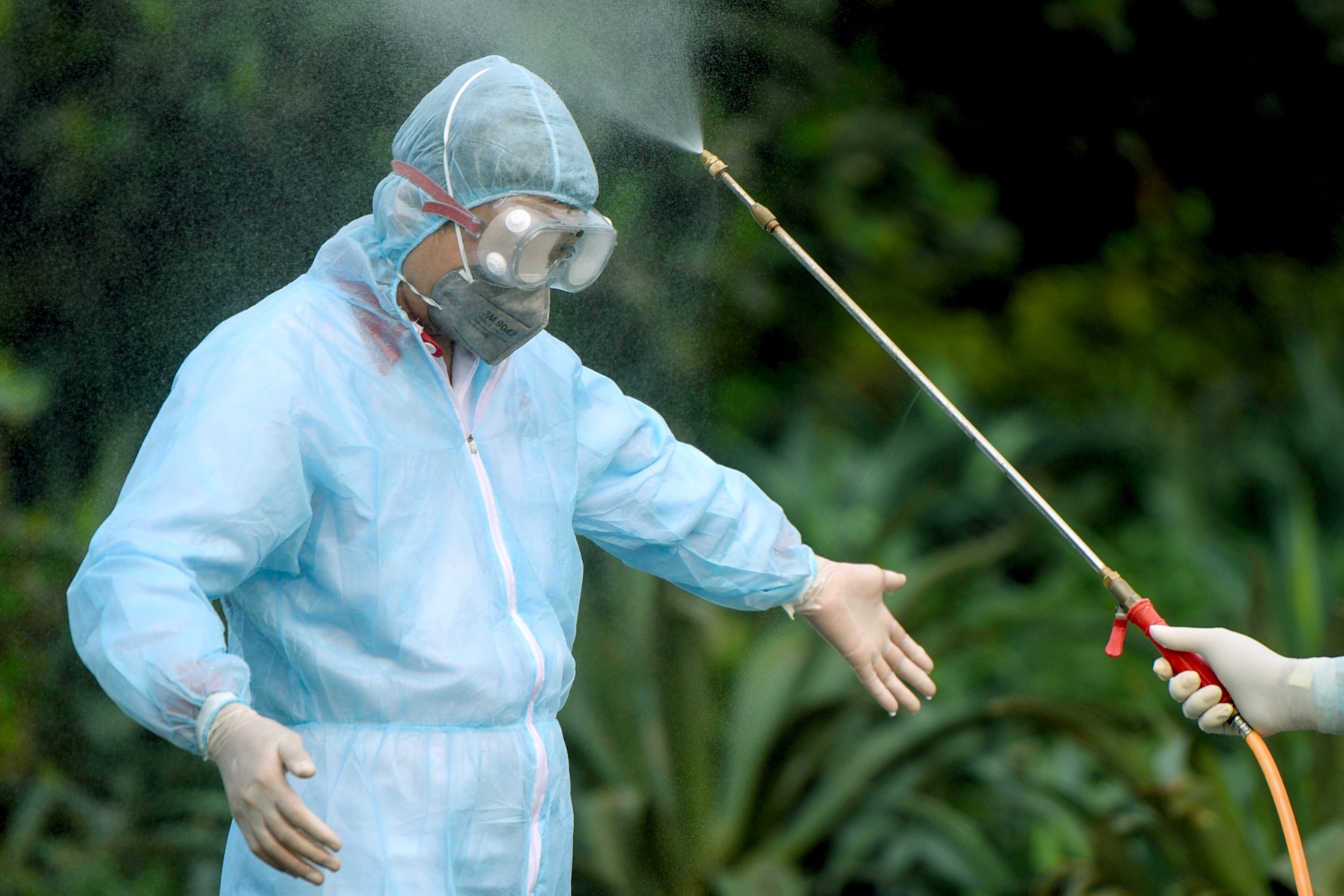 Phun khu trung toan bo thon Ha Loi hinh anh