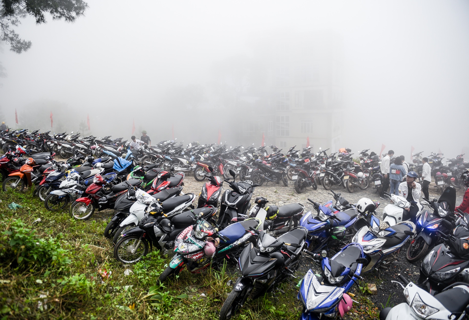 Tam Dao dong duc nghi le 30/4 - 1/5 anh 8