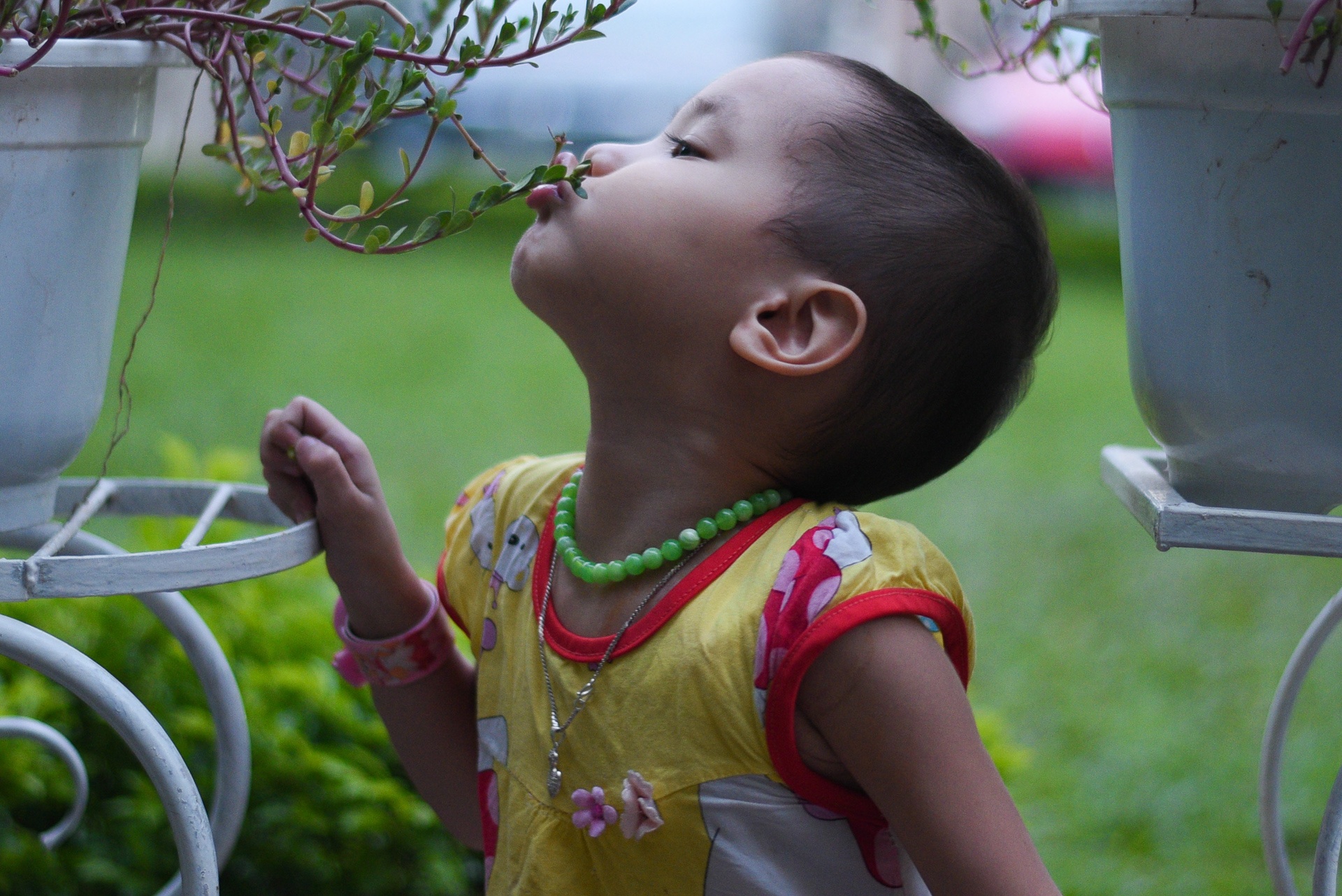 mau nhi qua doi vi ung thu mau anh 8