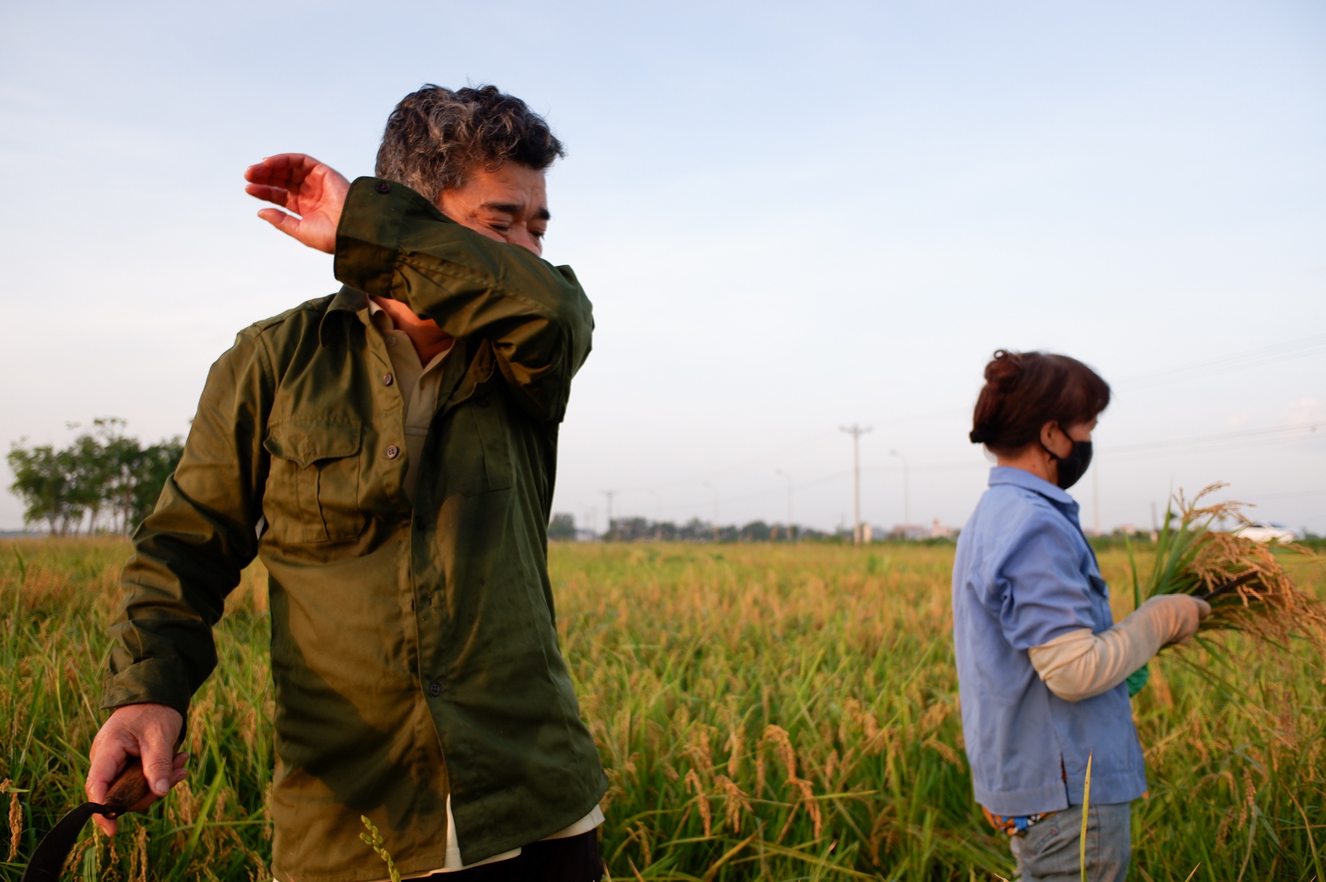 nguoi dan gat lua trong dem tranh nang anh 15