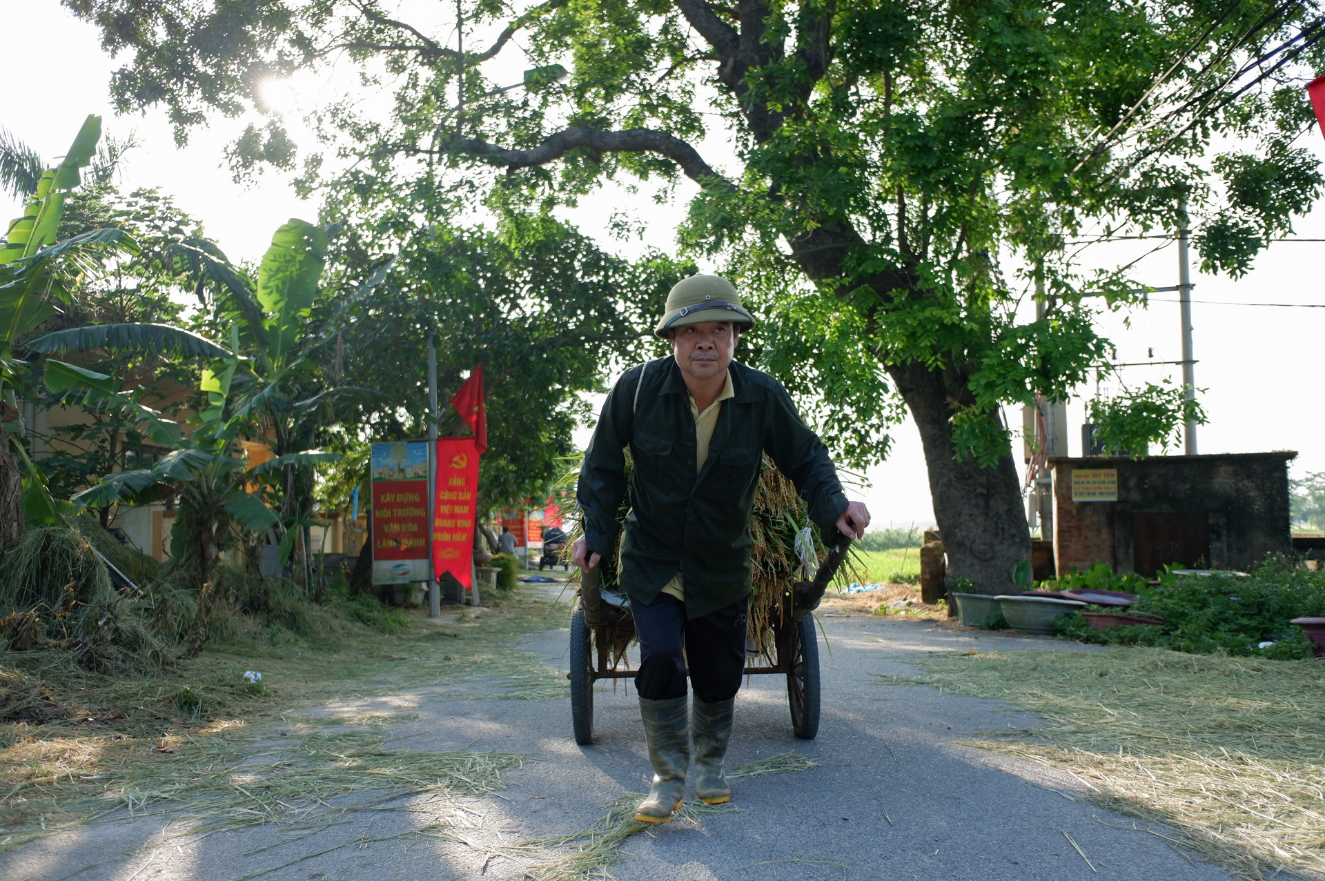 nguoi dan gat lua trong dem tranh nang anh 22