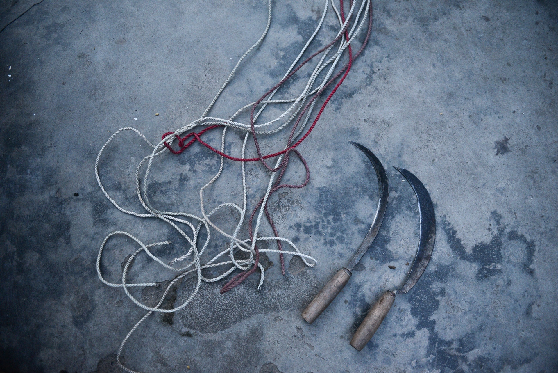 nguoi dan gat lua trong dem tranh nang anh 9