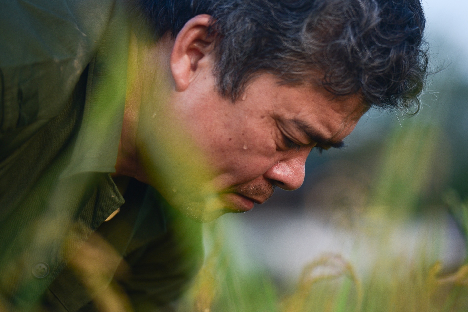 nguoi dan gat lua trong dem tranh nang anh 17