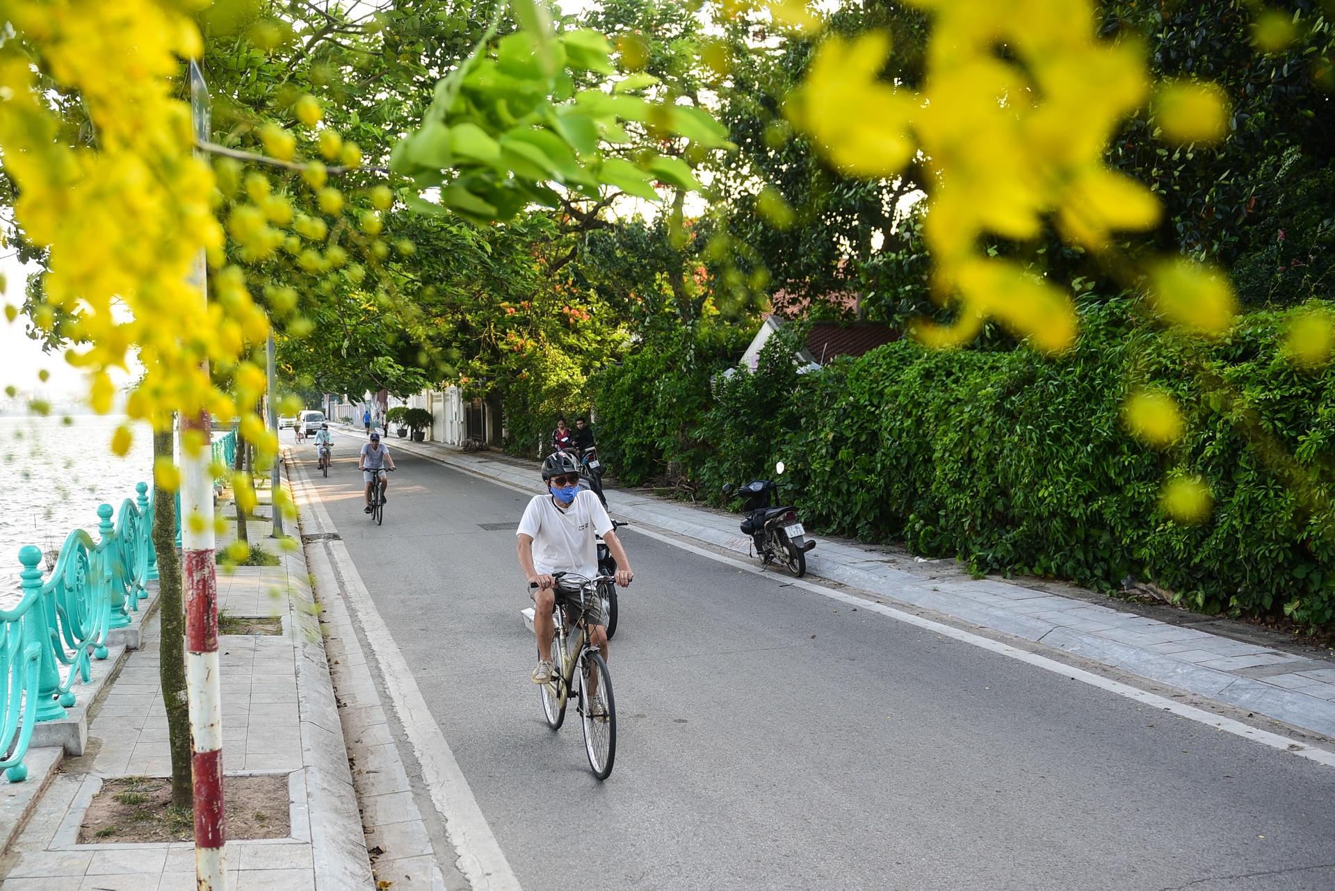 Ha Noi ruc ro mau hoa phuong anh 12