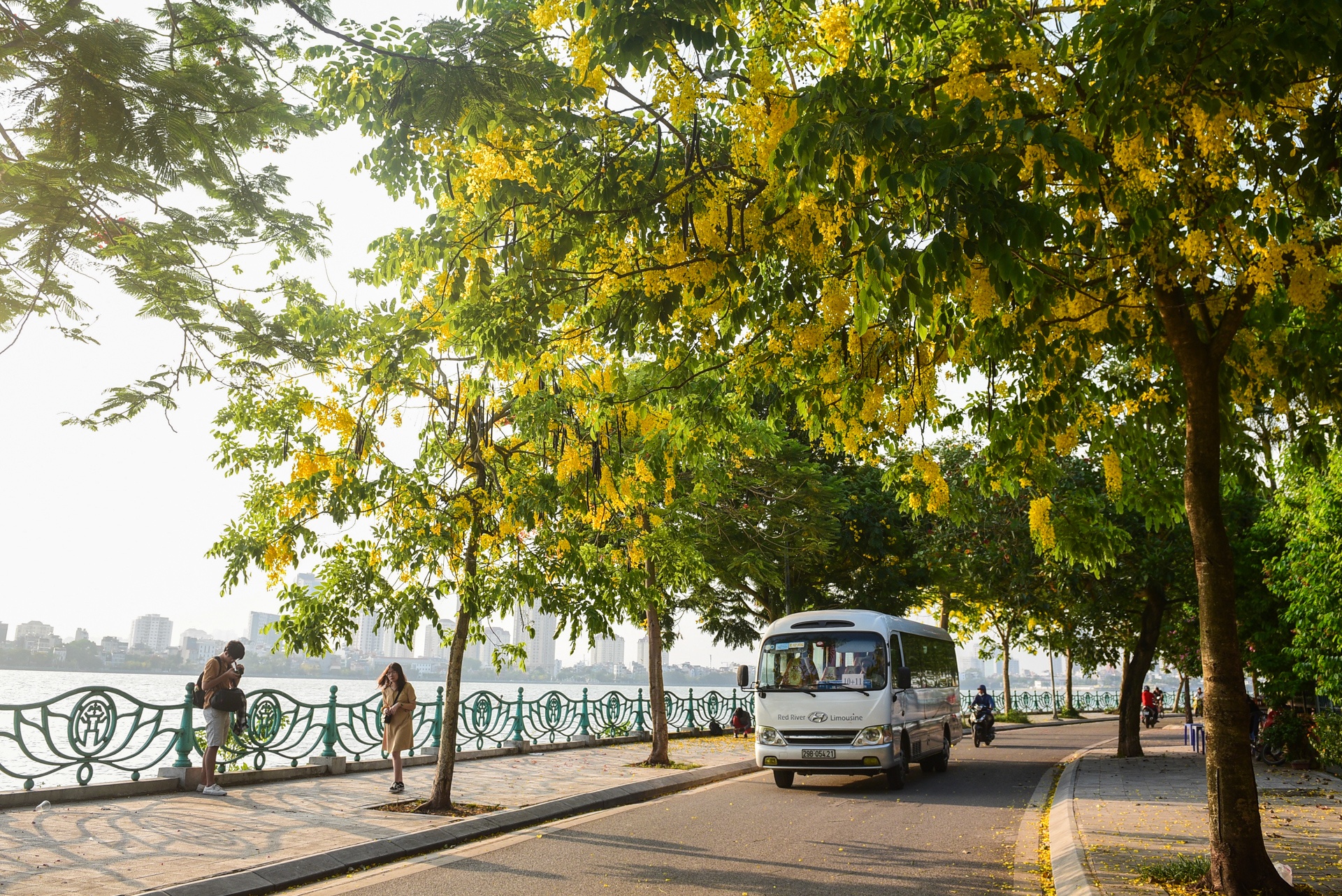 Ha Noi ruc ro mau hoa phuong anh 14