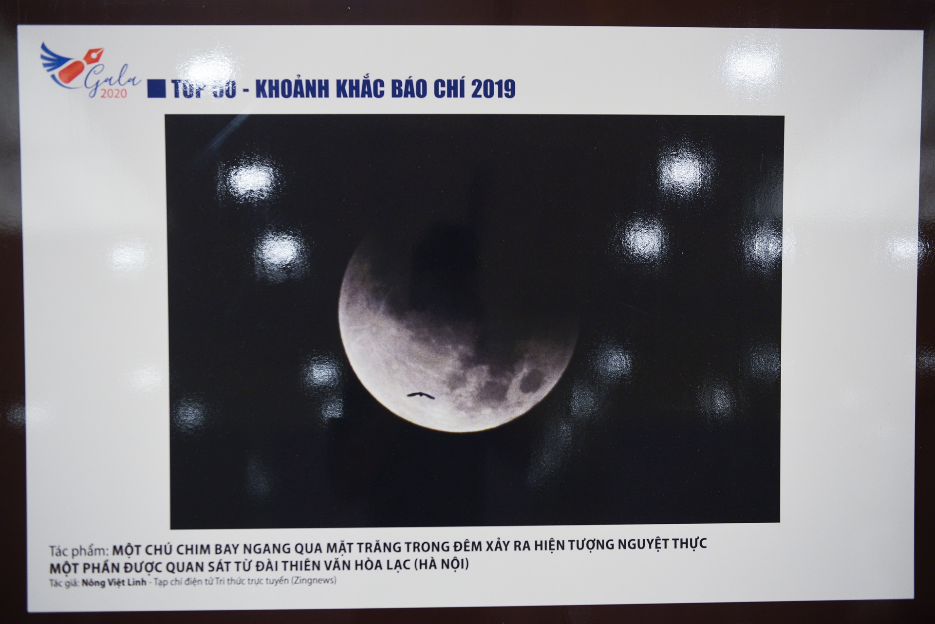 Anh zing lot top 10 khoanh khac bao chi anh 10