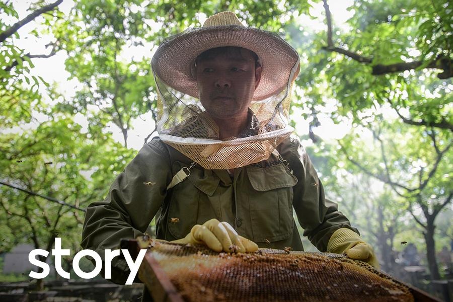 Mua lay mat cua trieu phu nuoi ong hinh anh