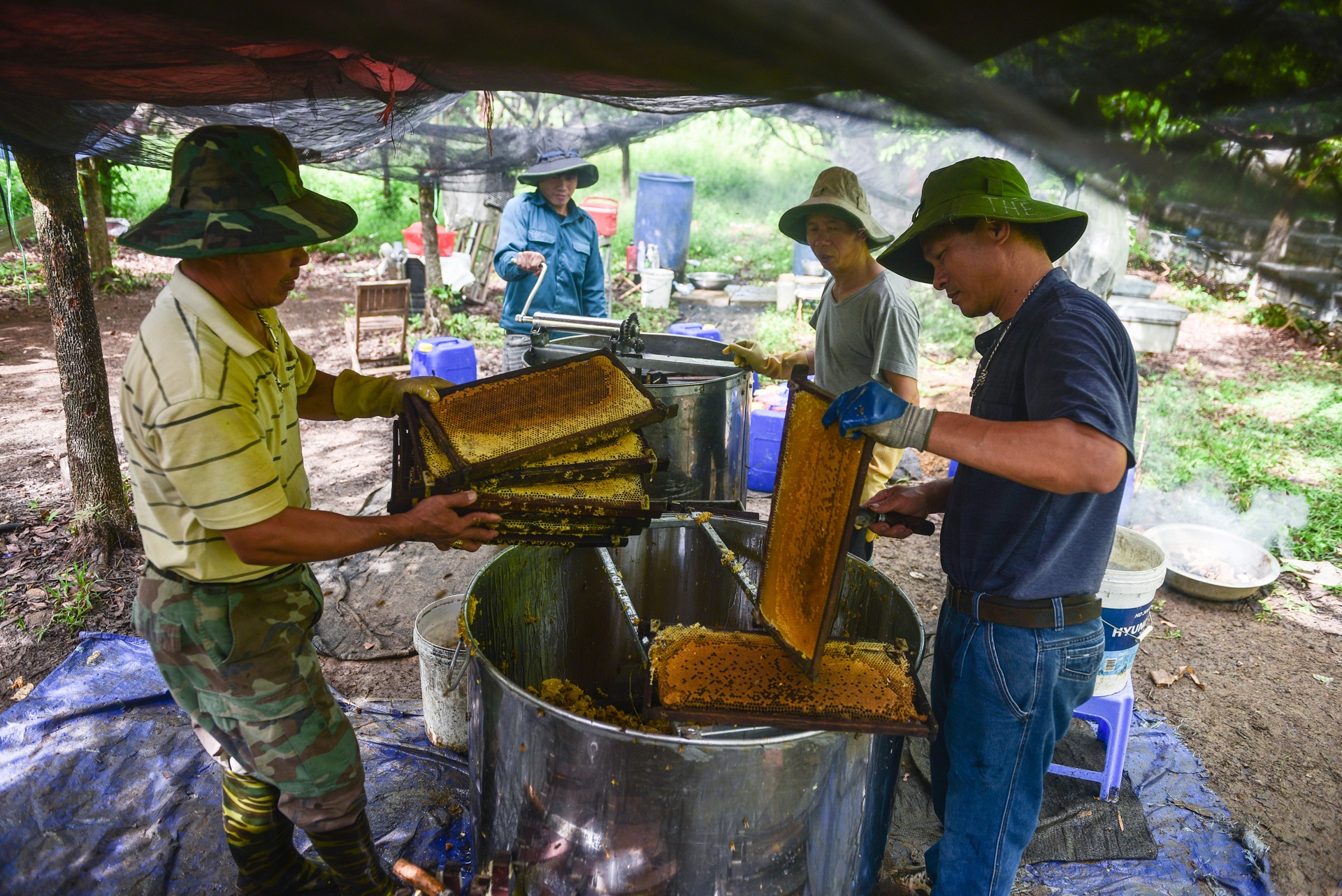 mua lay mat cua trieu phu nuoi ong anh 11