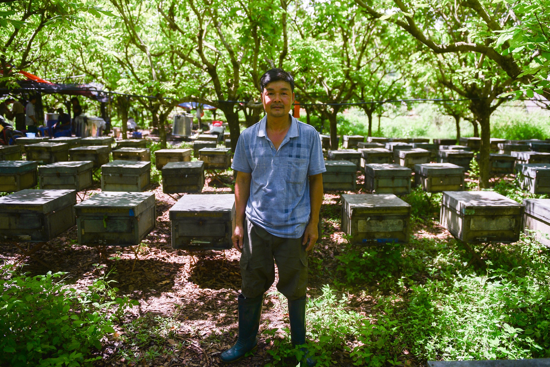 mua lay mat cua trieu phu nuoi ong anh 1