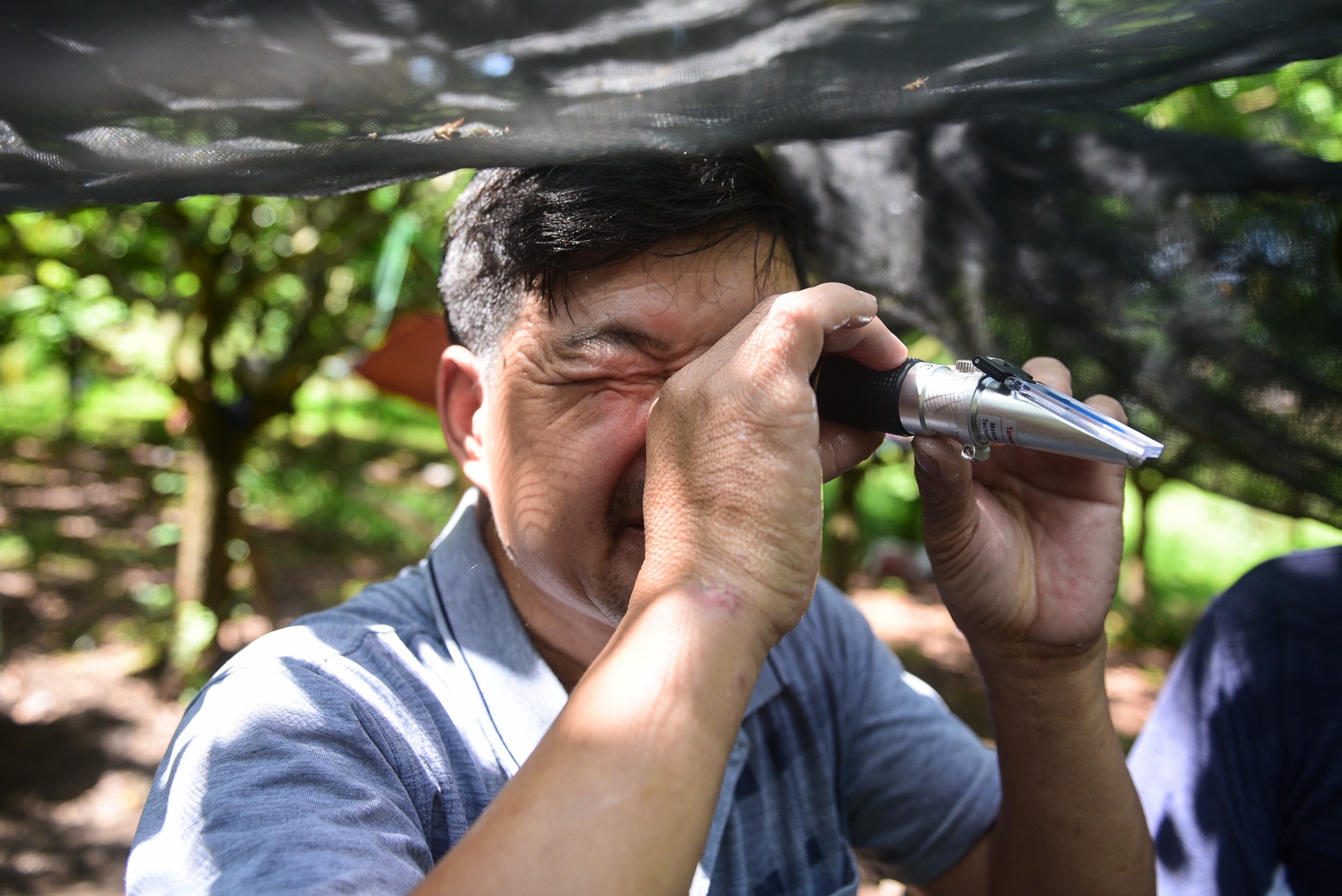 mua lay mat cua trieu phu nuoi ong anh 17