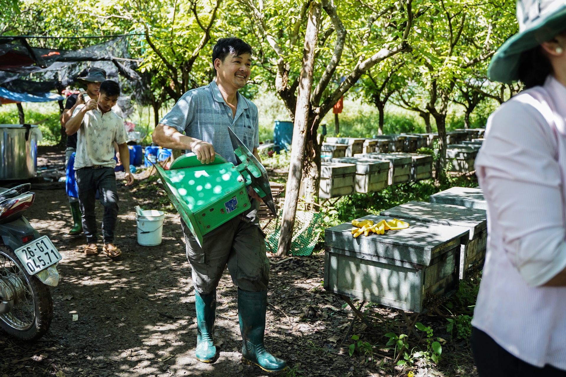 mua lay mat cua trieu phu nuoi ong anh 18