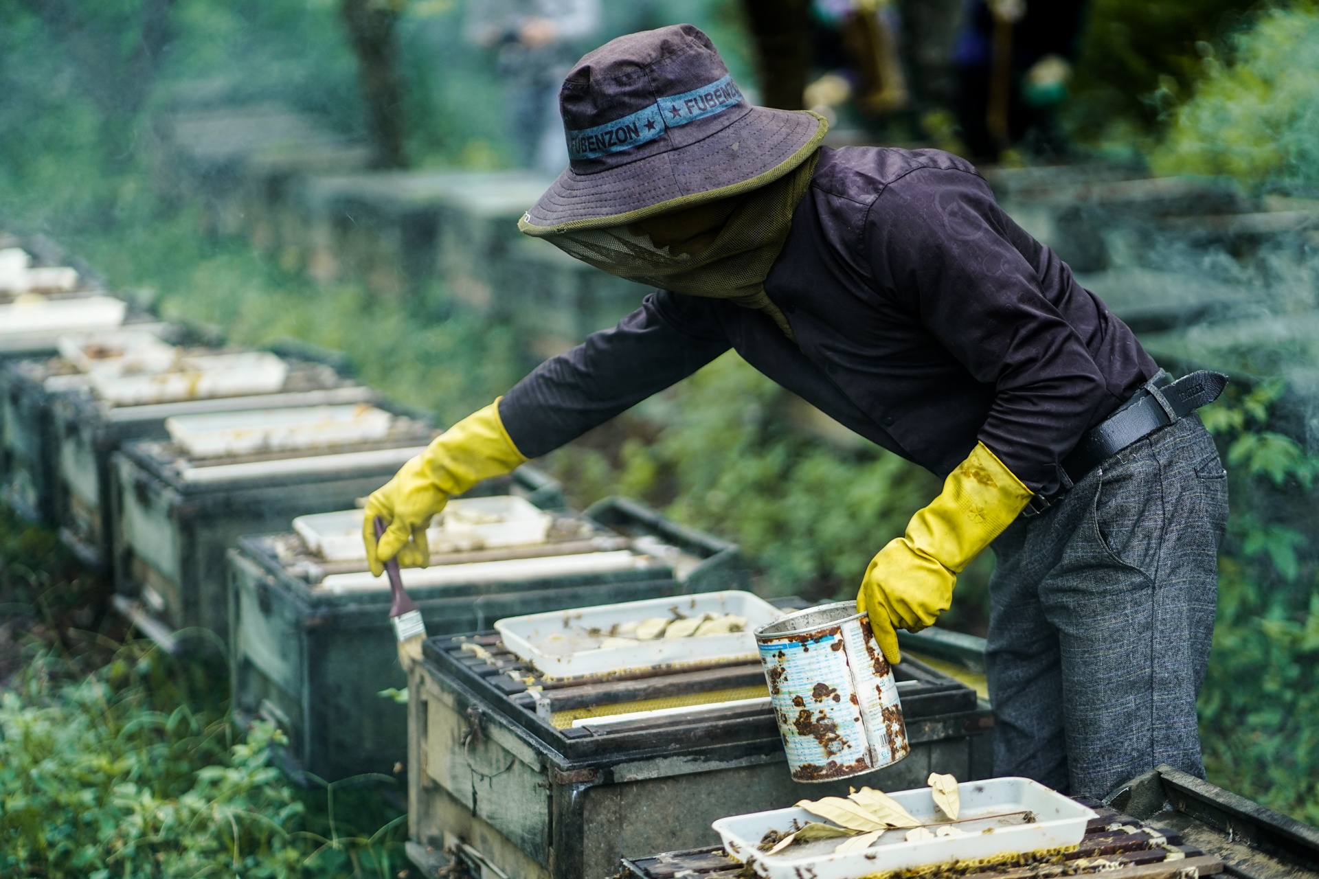 mua lay mat cua trieu phu nuoi ong anh 6