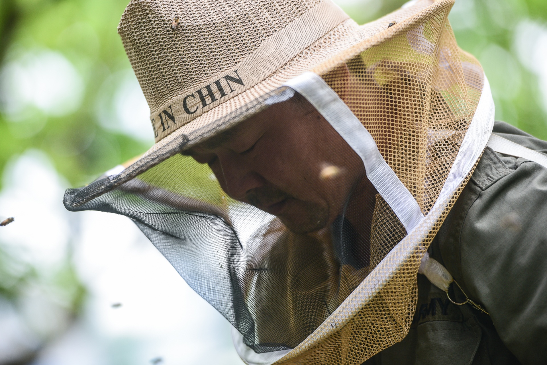 mua lay mat cua trieu phu nuoi ong anh 4