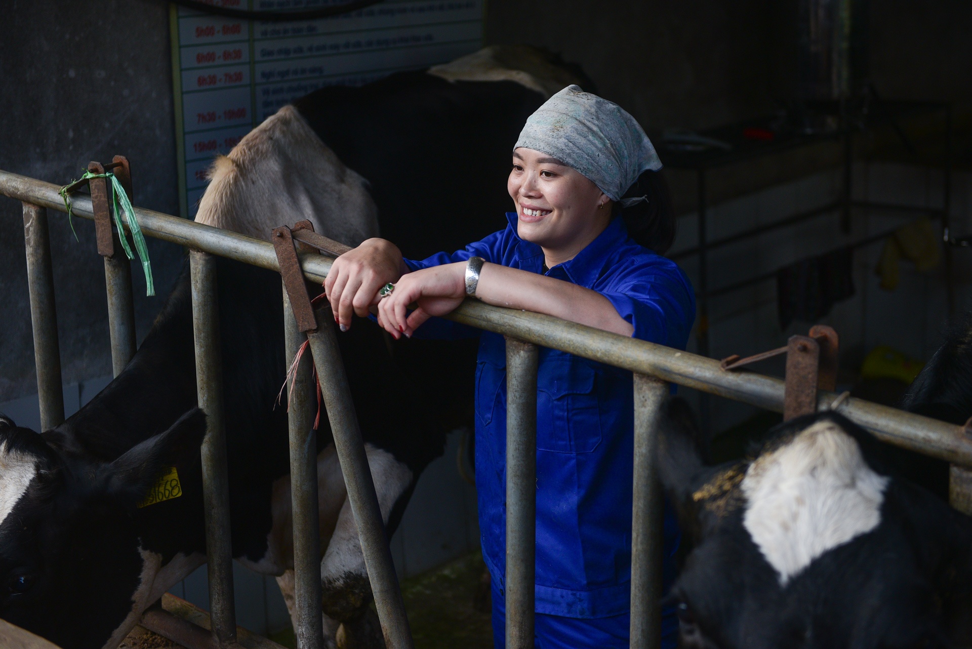 tỷ phú bò sữa 9x ảnh 13 ty phu bo sua 9x anh 13