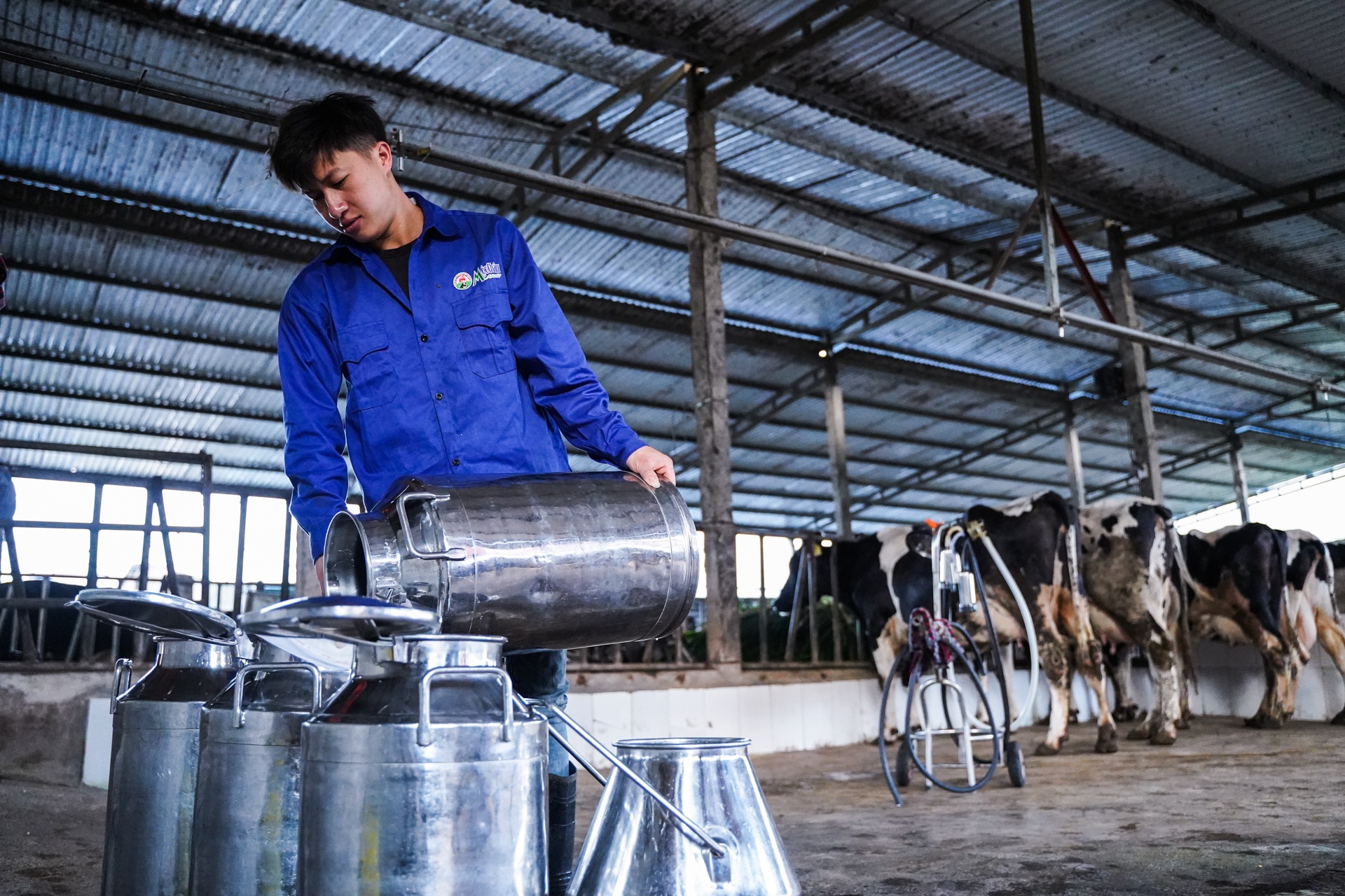 tỷ phú bò sữa 9x ảnh 5 ty phu bo sua 9x anh 5