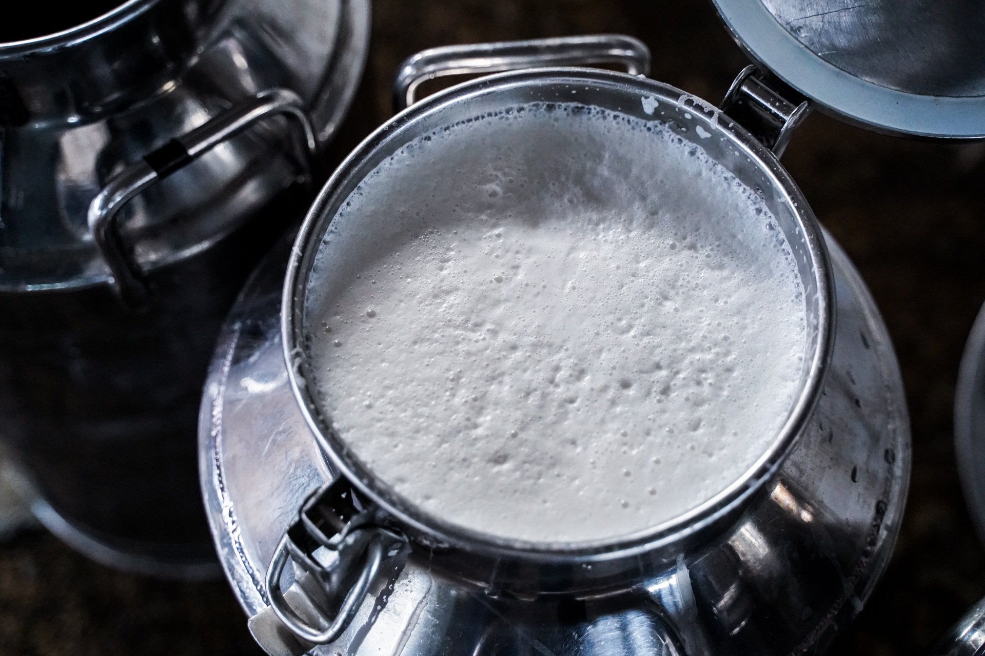 tỷ phú bò sữa 9x ảnh 8 ty phu bo sua 9x anh 8