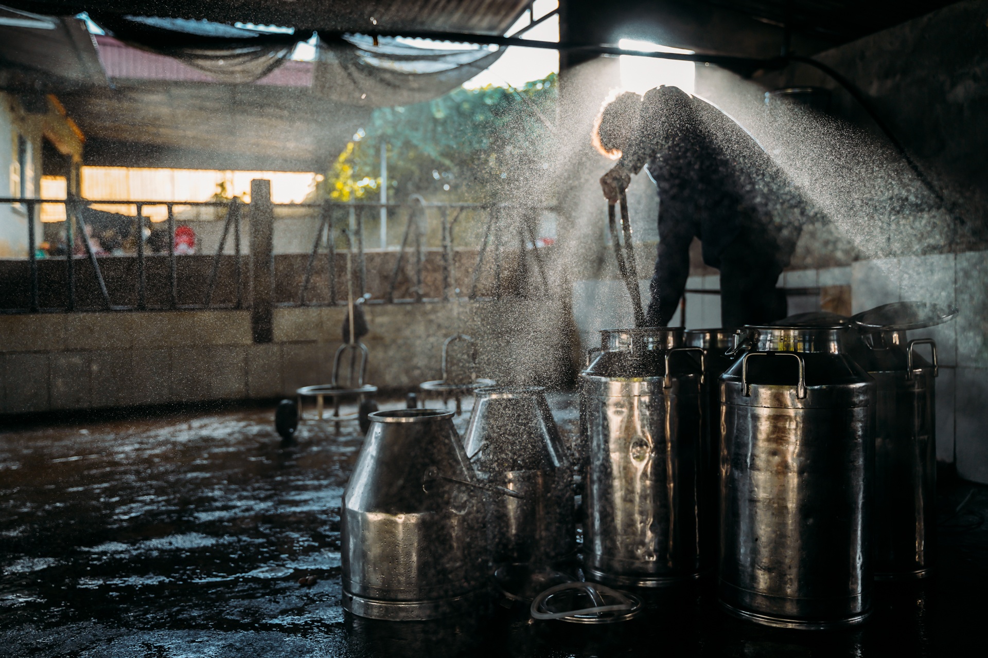 tỷ phú bò sữa 9x ảnh 11 ty phu bo sua 9x anh 11