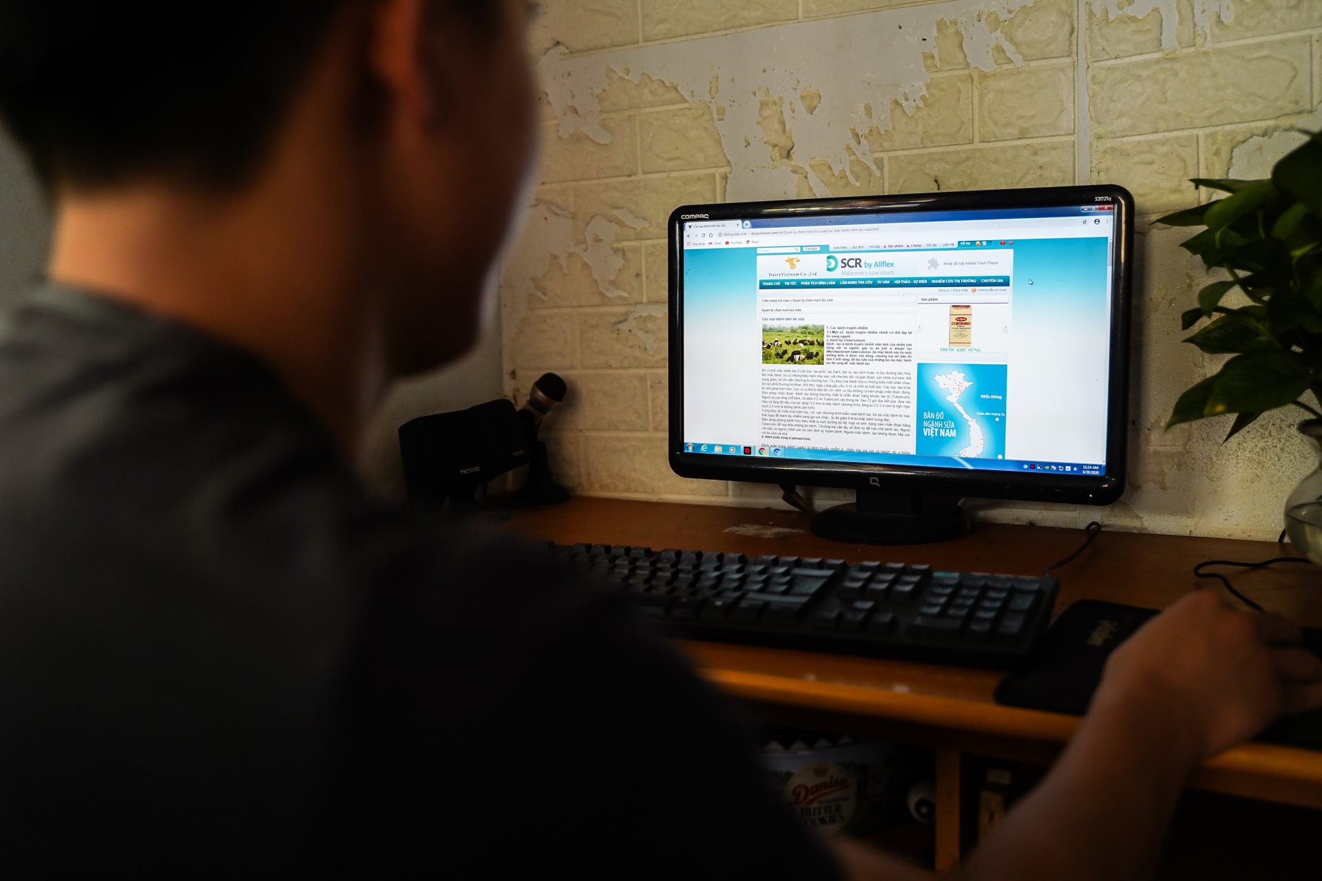 tỷ phú bò sữa 9x ảnh 17 ty phu bo sua 9x anh 17