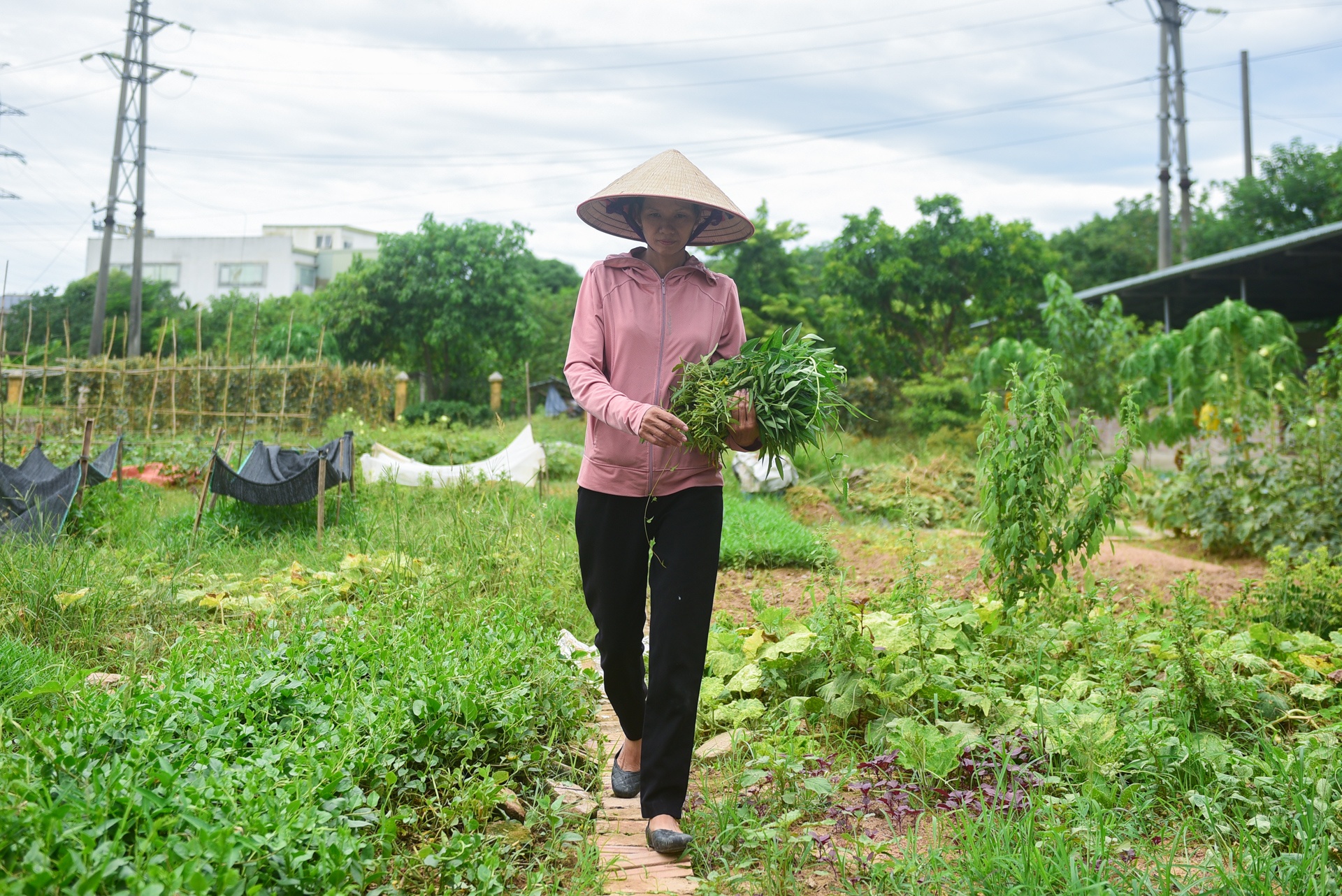 nhân viên khí tượng trong ngày nắng 40 độ C ảnh 15 nhan vien khi tuong trong ngay nang 40 do C anh 15
