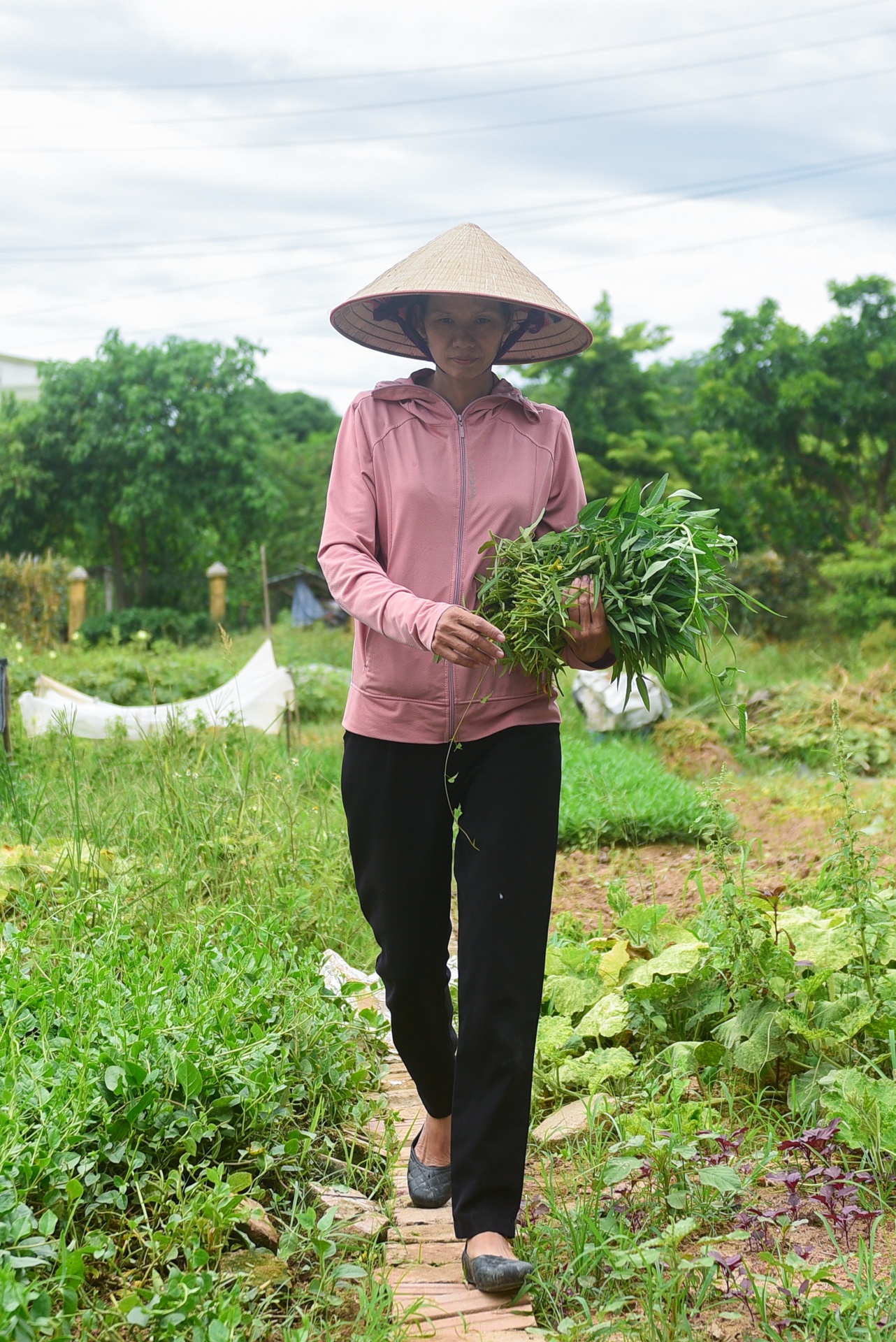 nhân viên khí tượng trong ngày nắng 40 độ C ảnh 16 nhan vien khi tuong trong ngay nang 40 do C anh 16