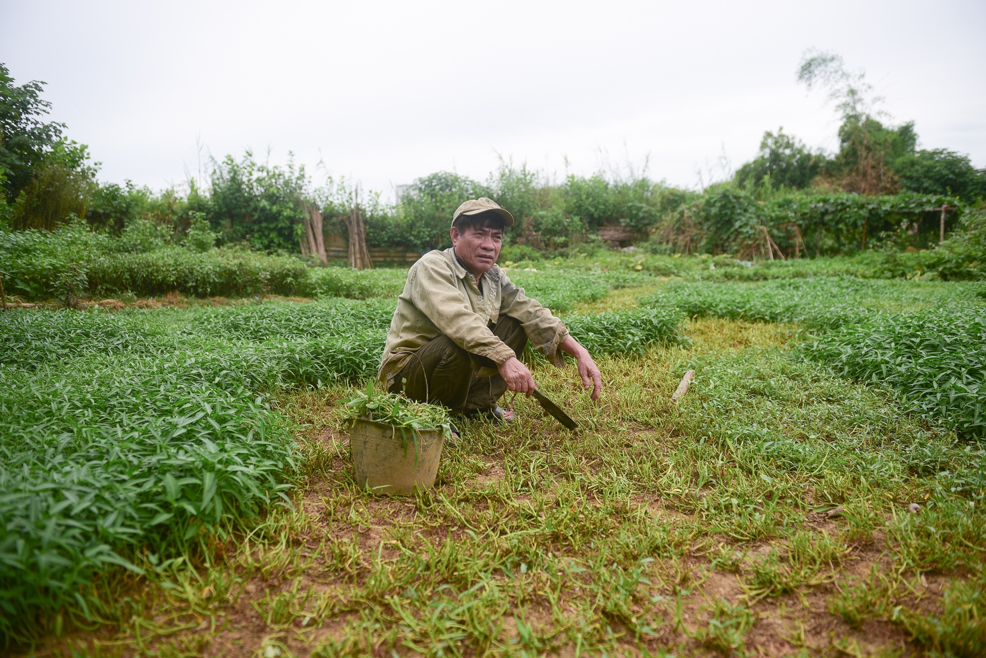 nhip song ven song hong anh 4