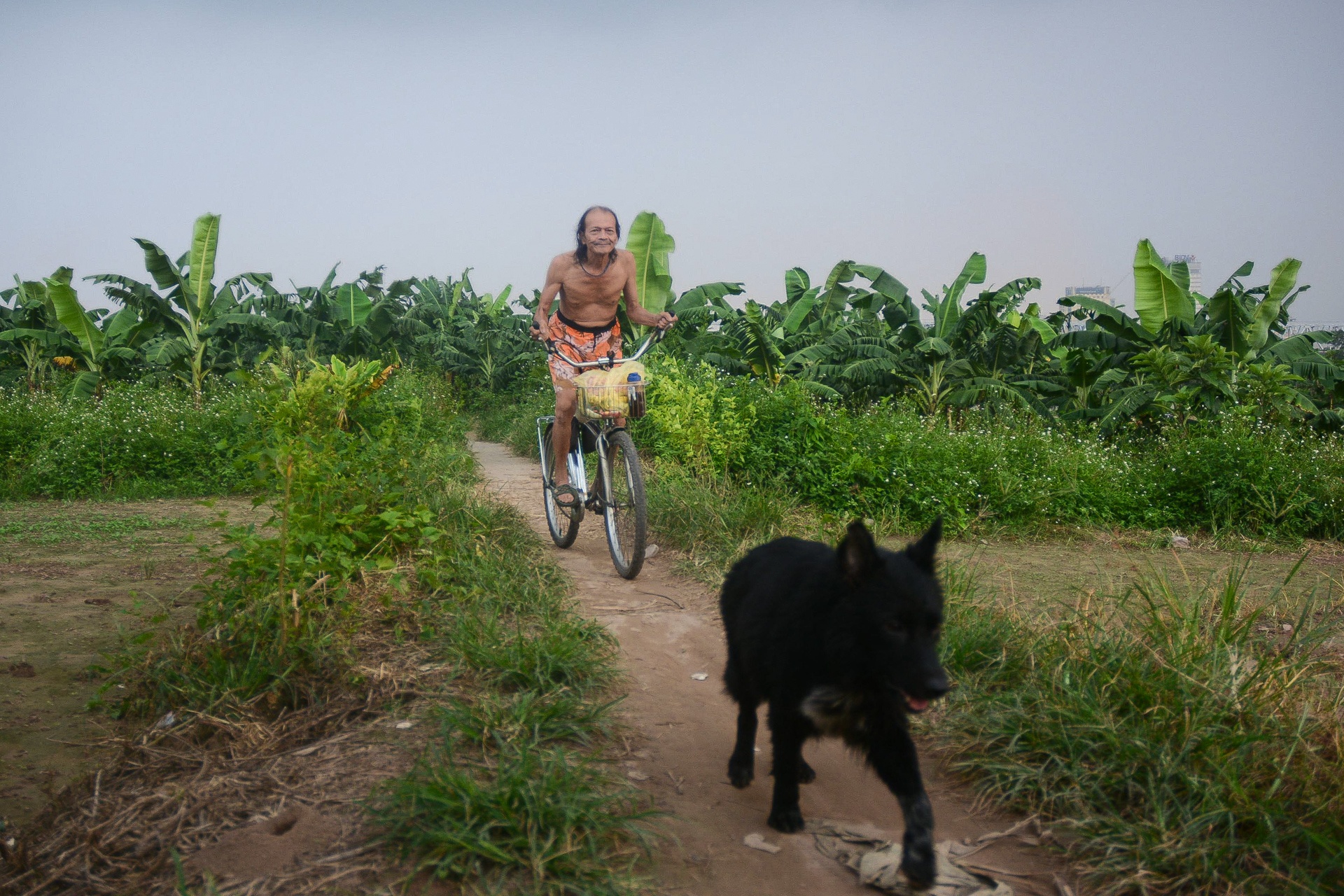 nhip song ven song hong anh 5