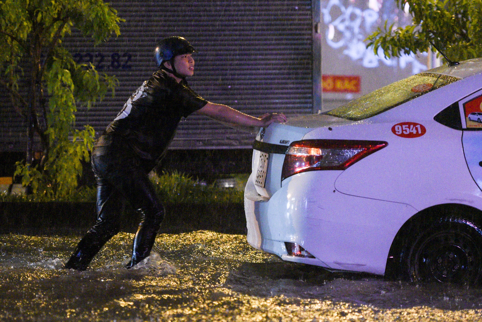 mua lon tai TP.HCM anh 3