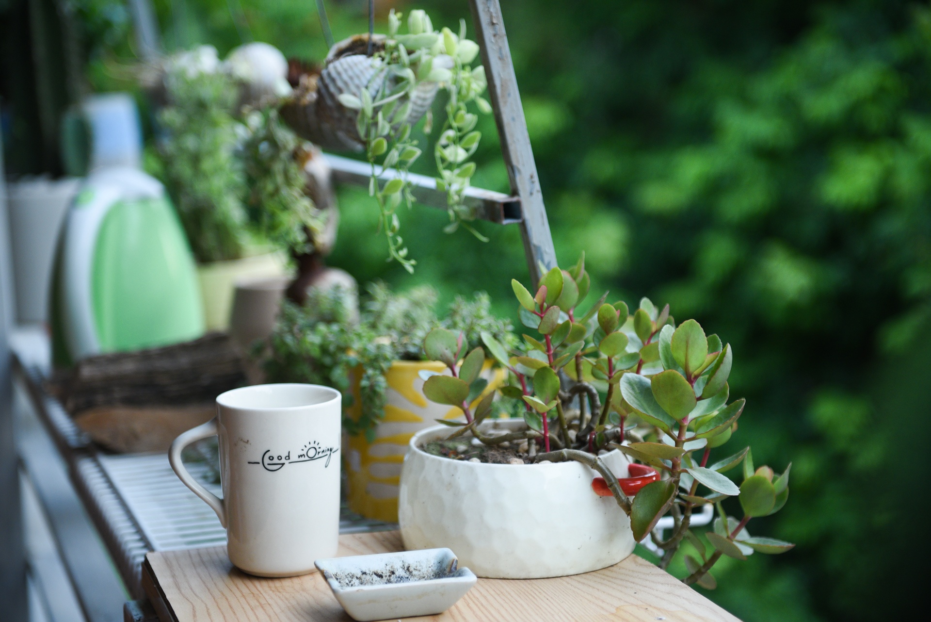 14 ngày cách ly ảnh 26 14 ngay cach ly anh 26