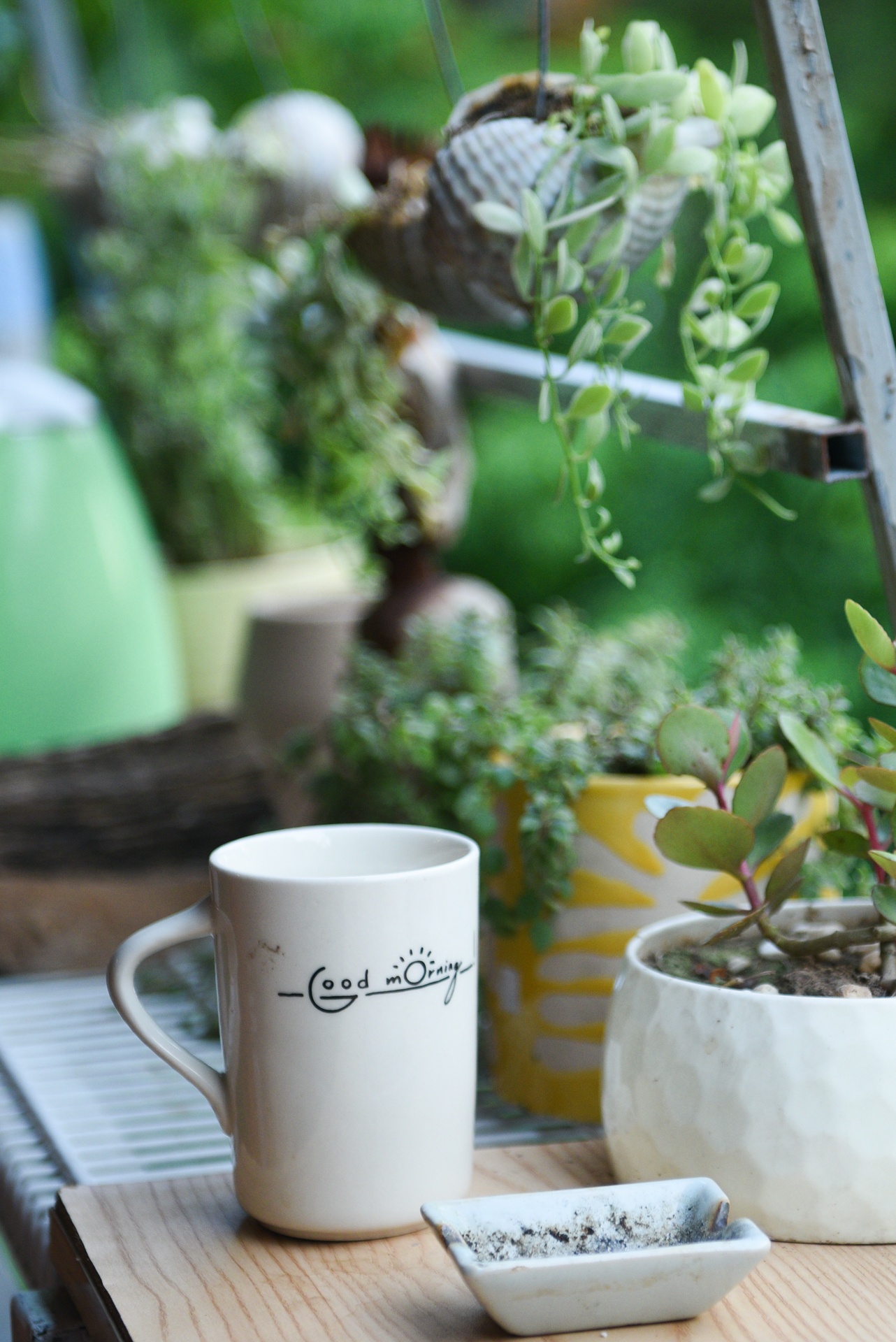 14 ngày cách ly ảnh 27 14 ngay cach ly anh 27